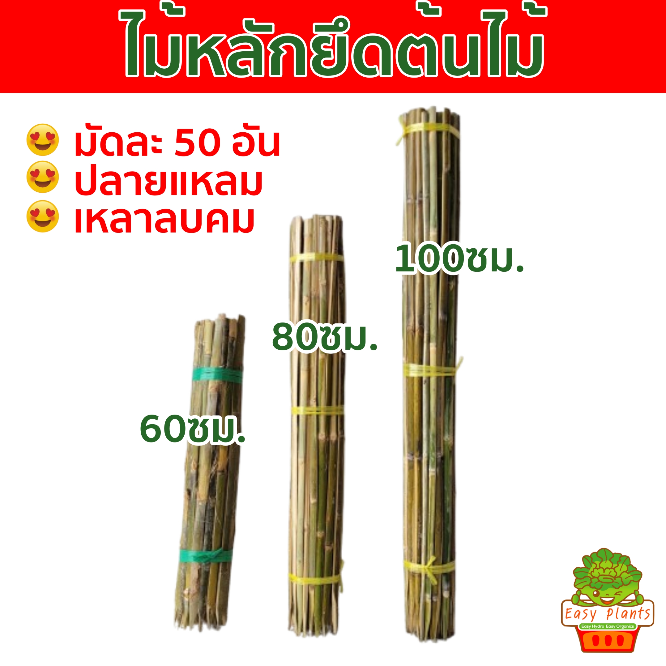 ไม้หลักยึดต้นไม้ ปลายแหลมยาว 100ซม,80ซม,60ซม.จำนวน50 อัน เหลาลบคมป้องกันลำต้นโยก ช่วยพยุงลำต้น