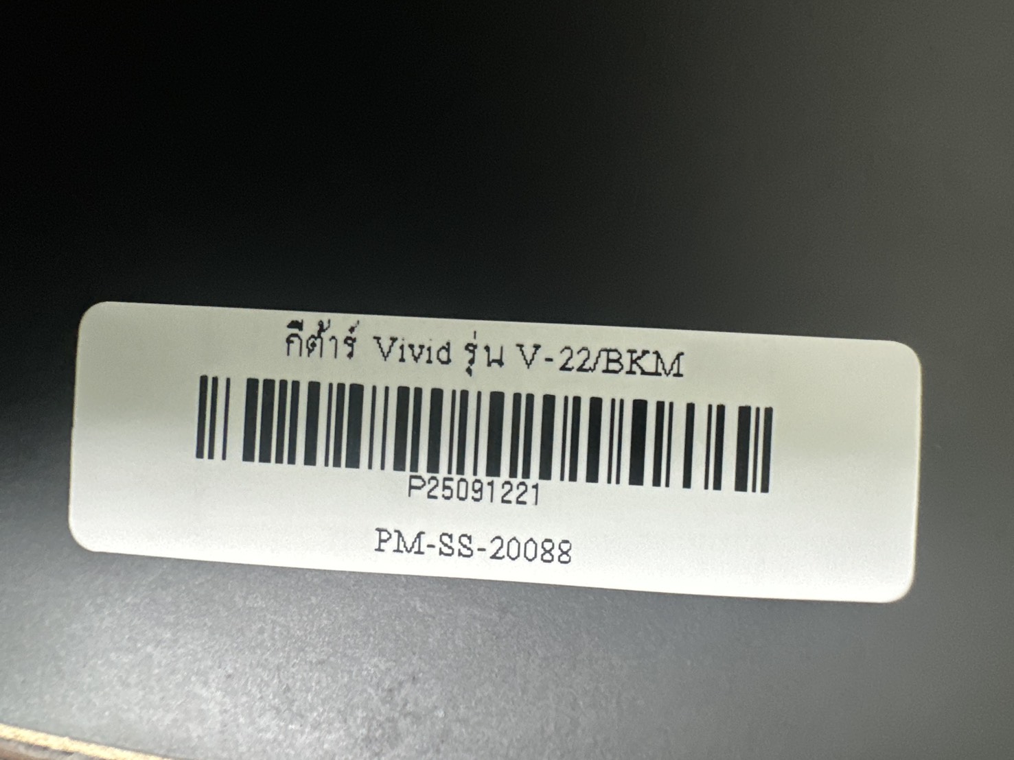 กีตาร์โปร่ง Vivid รุ่น V-22/BKM