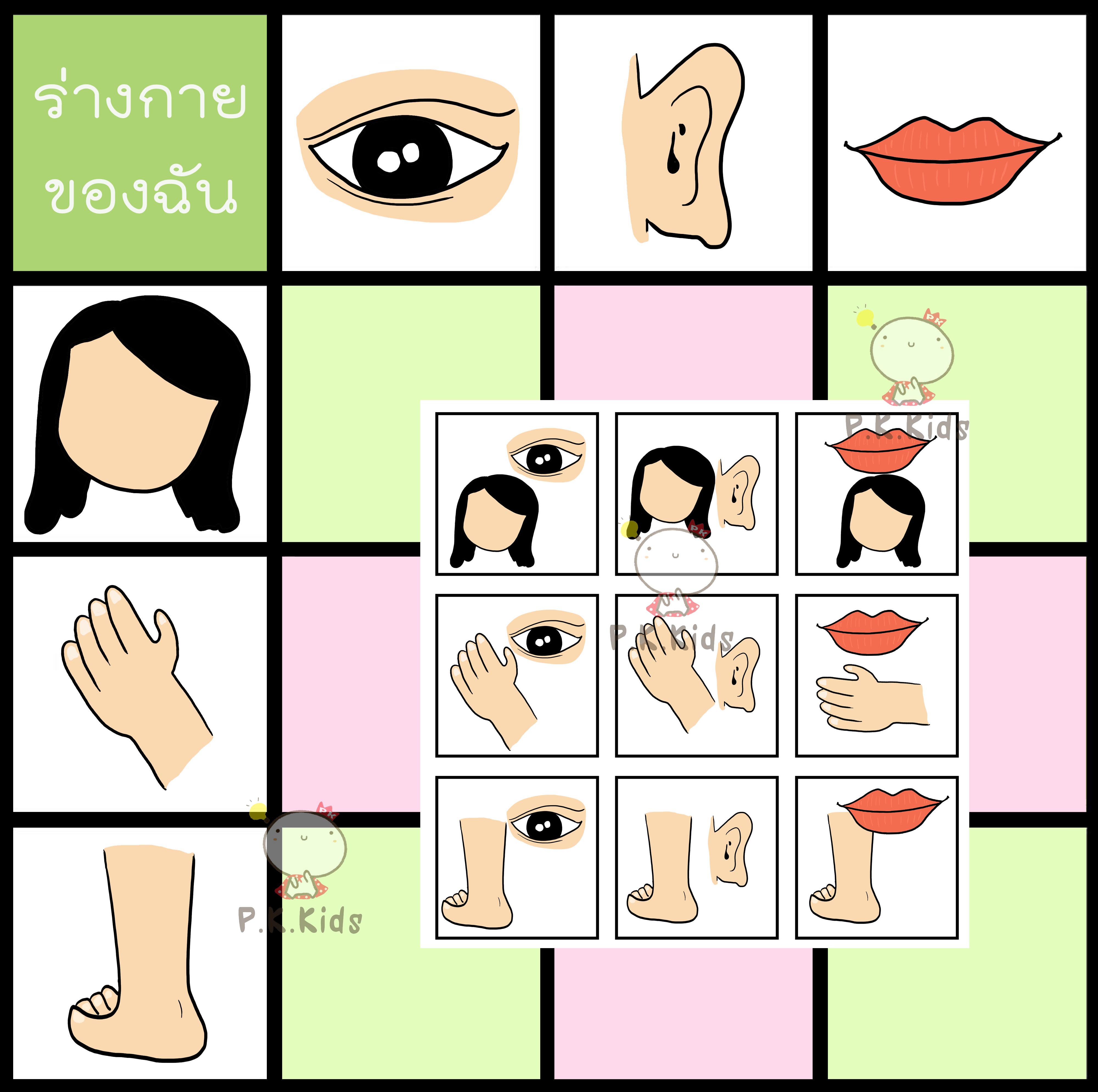 ตารางสัมพันธ์ : ร่างกายของฉัน