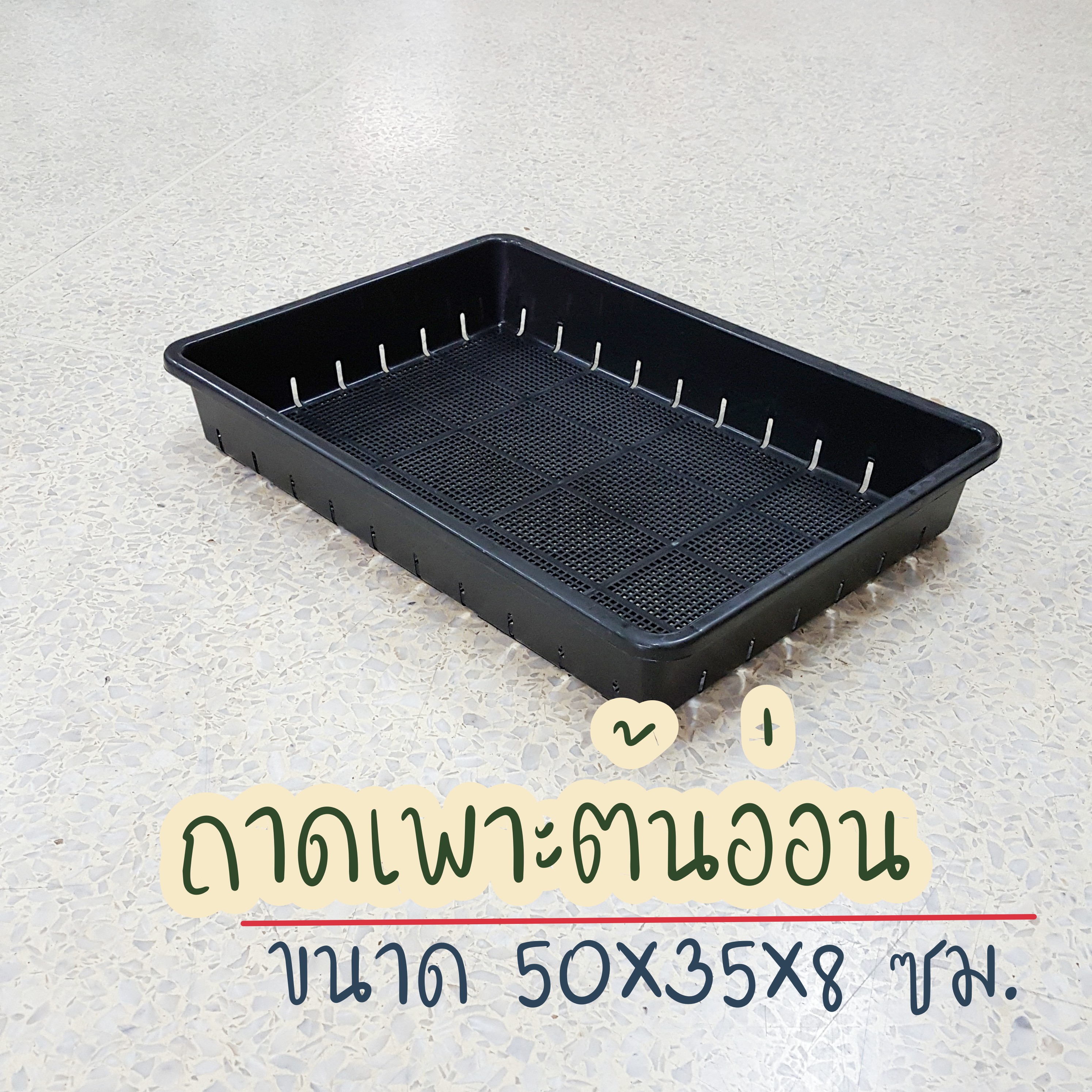 ถาดเพาะต้นอ่อน ถาดไดโซะ ถาดเพาะแคคตัส จำนวน 3 ชิ้น