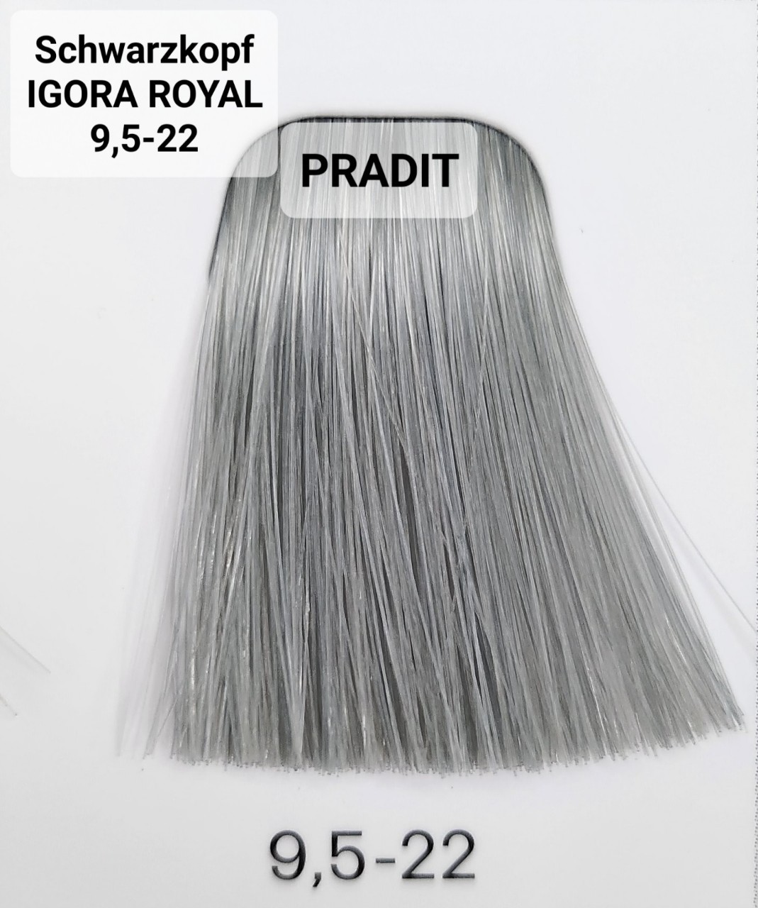Schwarzkopf Igora Royal ครีมย้อมผม อีโกร่า รอยัล เบอร์9.5-22 สีบลอนด์เทาควันบุหรี่หม่นเทาฟ้า (60ml) 80 กรัม