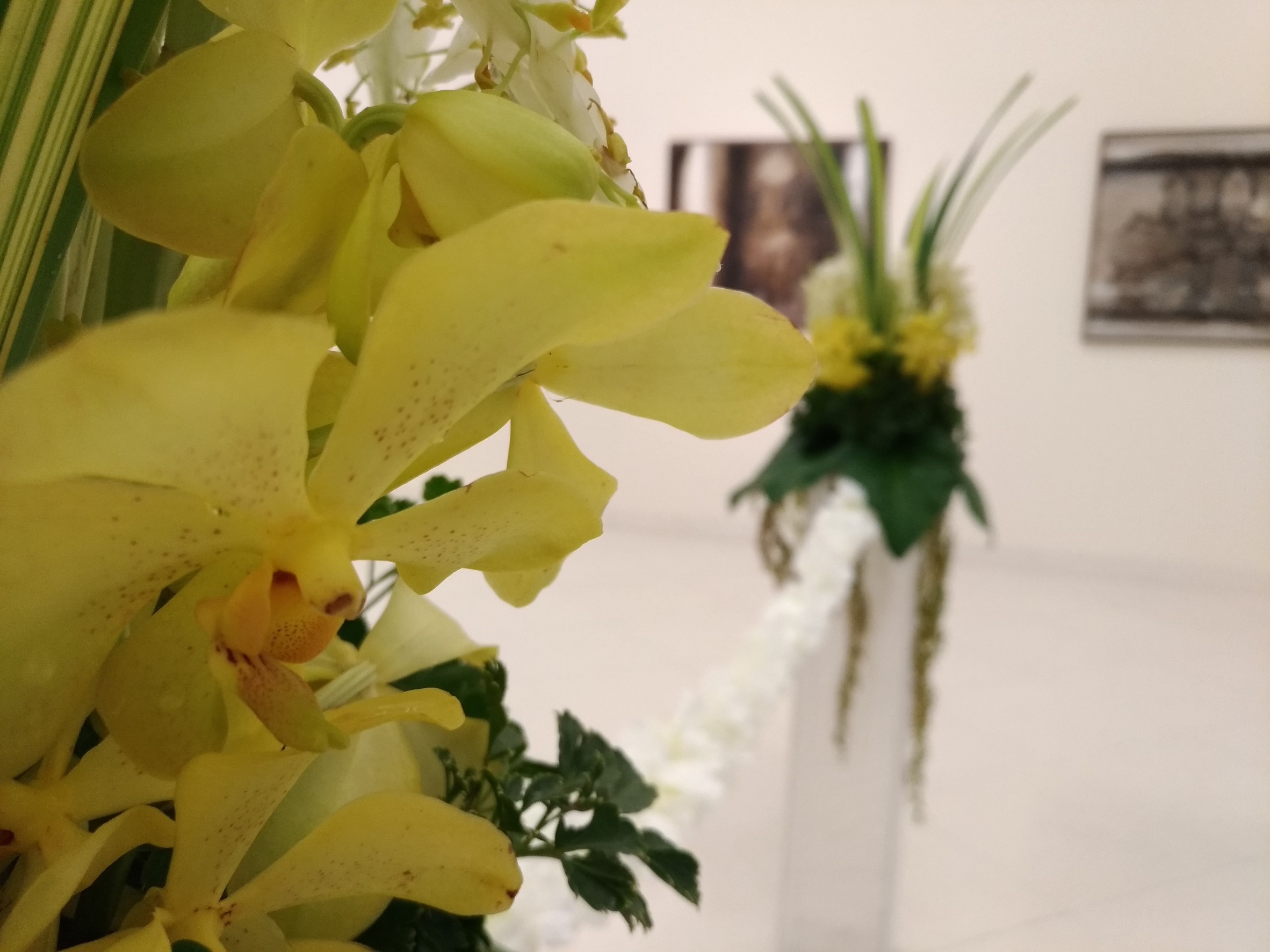 เสาตัดริบบิ้น RB 028- - จำนวน 1 คู่