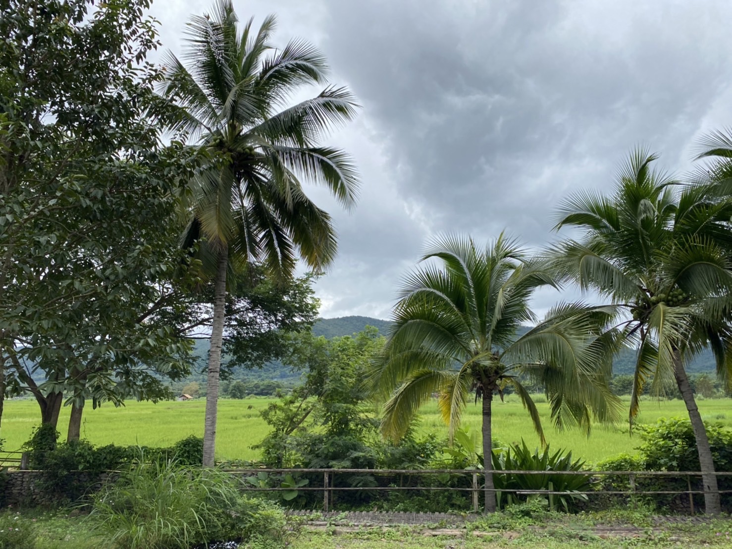 ขายรีสอร์ทพร้อมสวนอาหาร ใน จ.ลำพูน บรรยากาศท่ามกลางธรรมชาติ วิวเขาและทุ่งนา