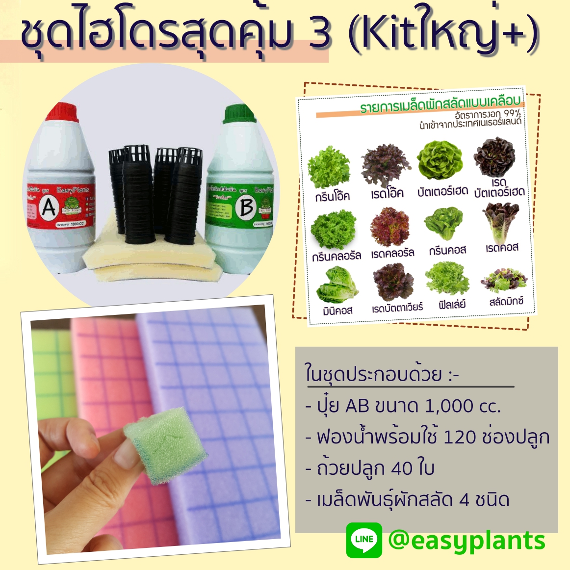 ชุดไฮโดรสุดคุ้ม 3 (Kit ใหญ่ Plus)