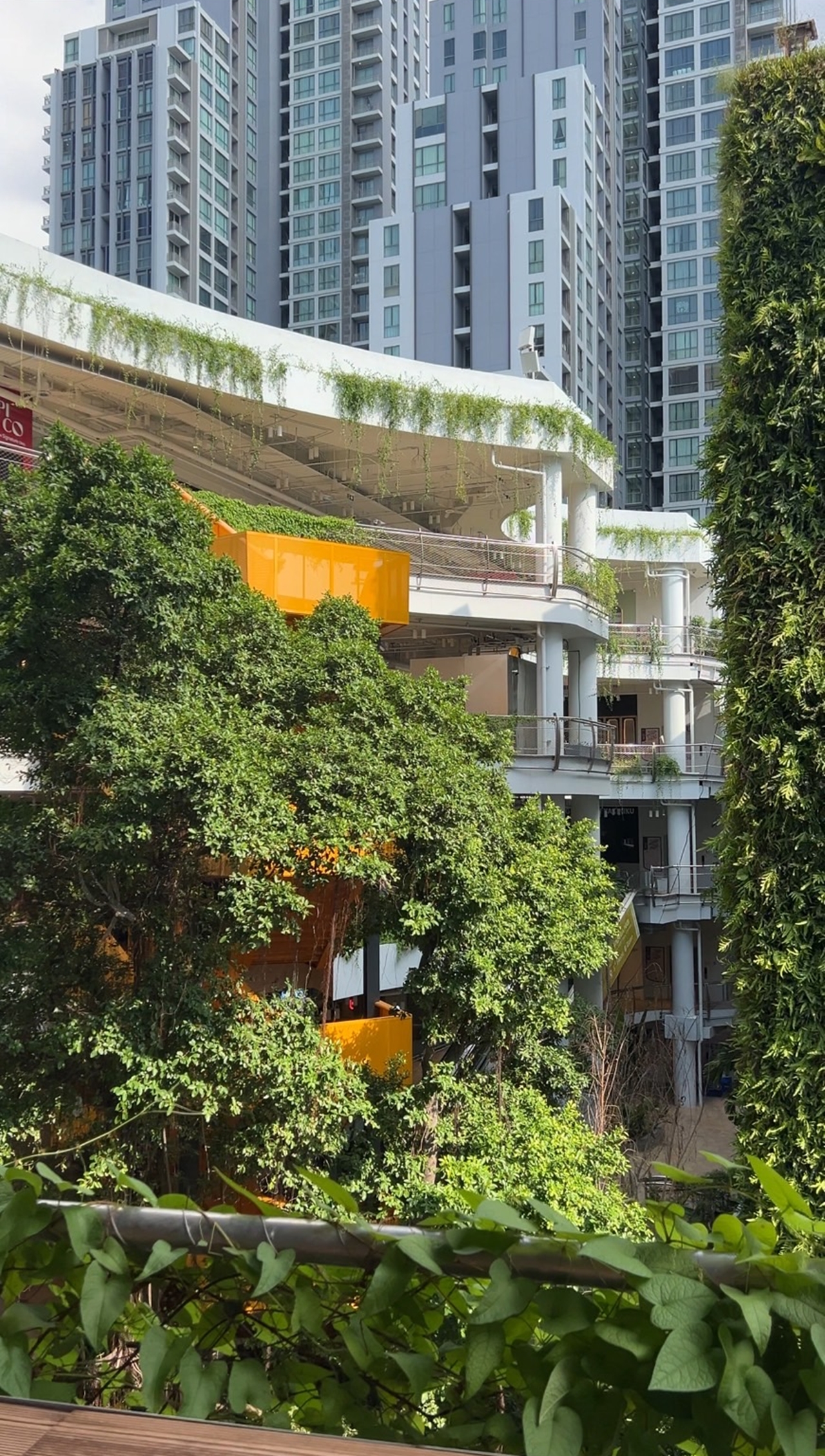 ทีเพลซ - มาร์เช่ ทองหล่อ (T PLACE - Marche' Thonglor) สำนักงานให้เช่าใจกลางทองหล่อ ซอยสุขุมวิท 55 กรุงเทพฯ ใกล้สถานีรถไฟฟ้า BTS ทองหล่อ 500 ม.