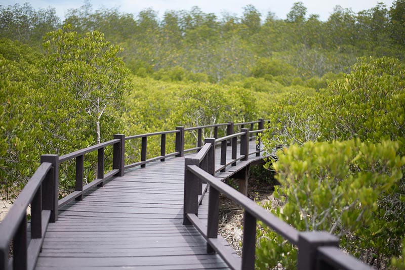 ขายกิจการรีสอร์ทขนาด 11 ห้องพัก ติดแม่น้ำปราณบุรี จ.ประจวบคีรีขันธ์ บรรยากาศร่มรื่น ใกล้ภูเขาและแหล่งธรรมชาติ