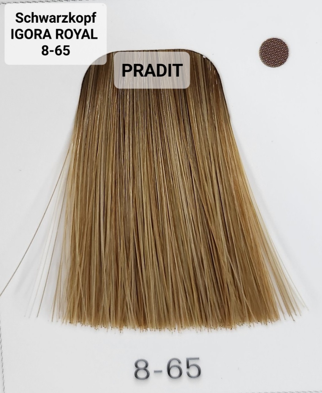 Schwarzkopf Igora Royal ครีมย้อมผม อีโกร่า รอยัล เบอร์ 8-65 (60ml) 80 กรัม