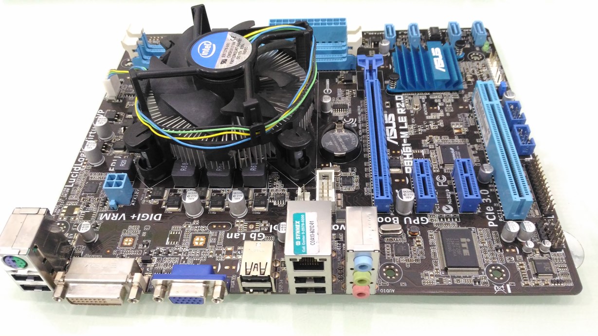 intel Celeron G1610 + ASUS P8H61-M LE