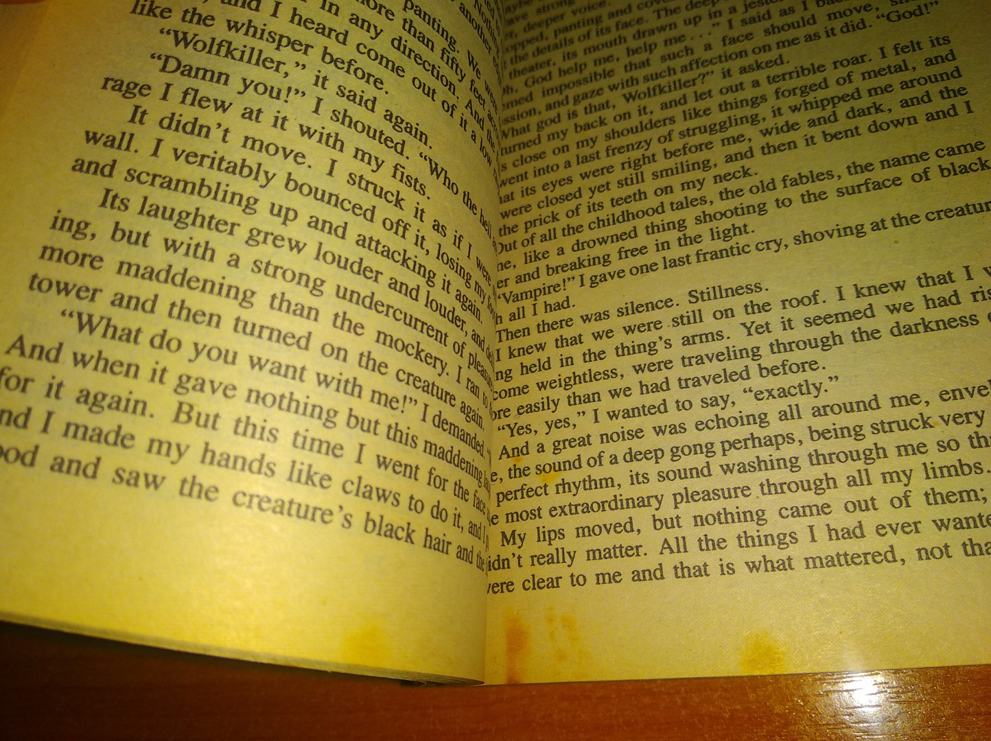 The Vampire Lestat (The Vampire Chronicles #2) by Anne Rice