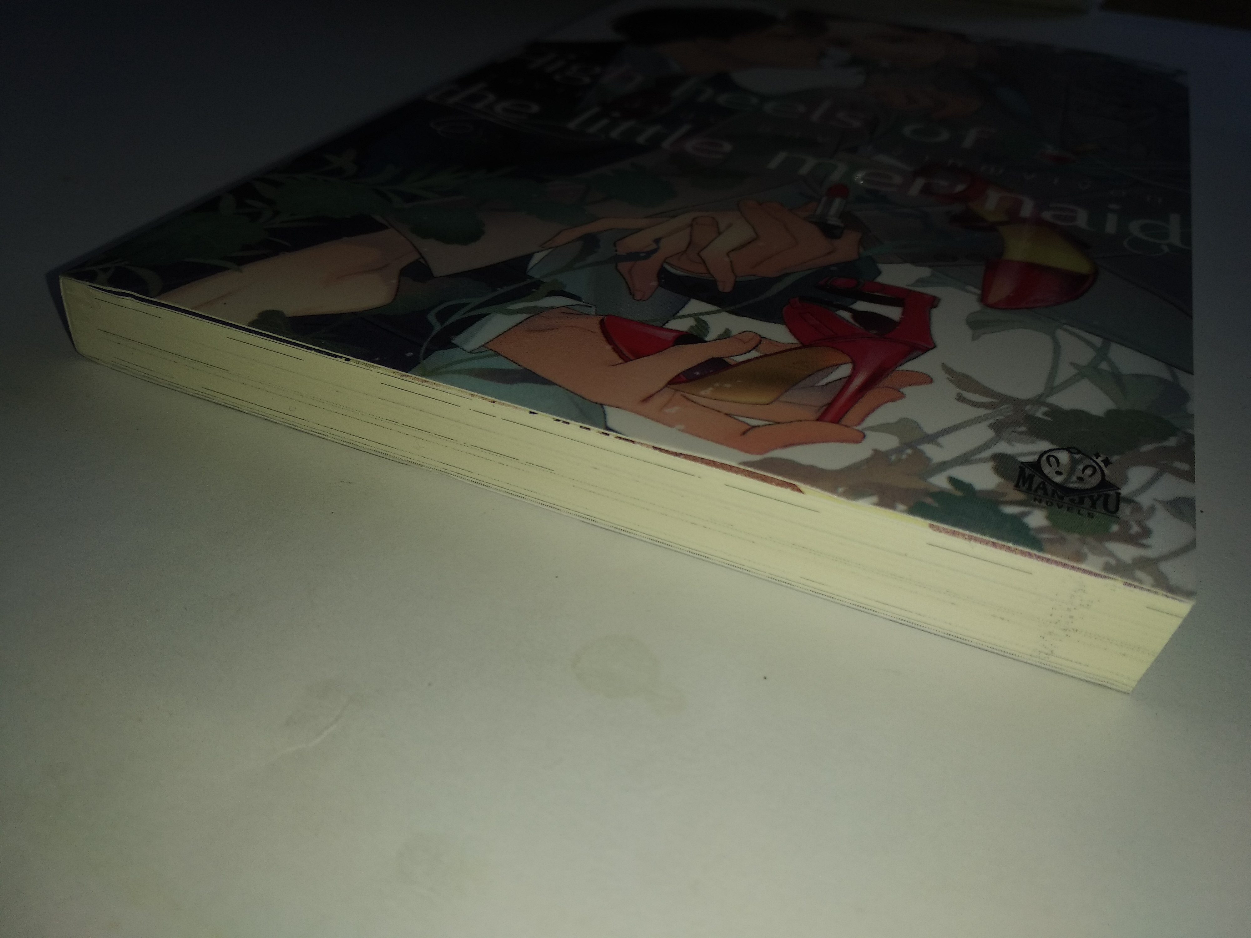 นิยายวายญี่ปุ่น High heels of the little mermaid ~รองเท้าส้นสูงของเจ้าหญิงเงือก~ : Rika Anzai