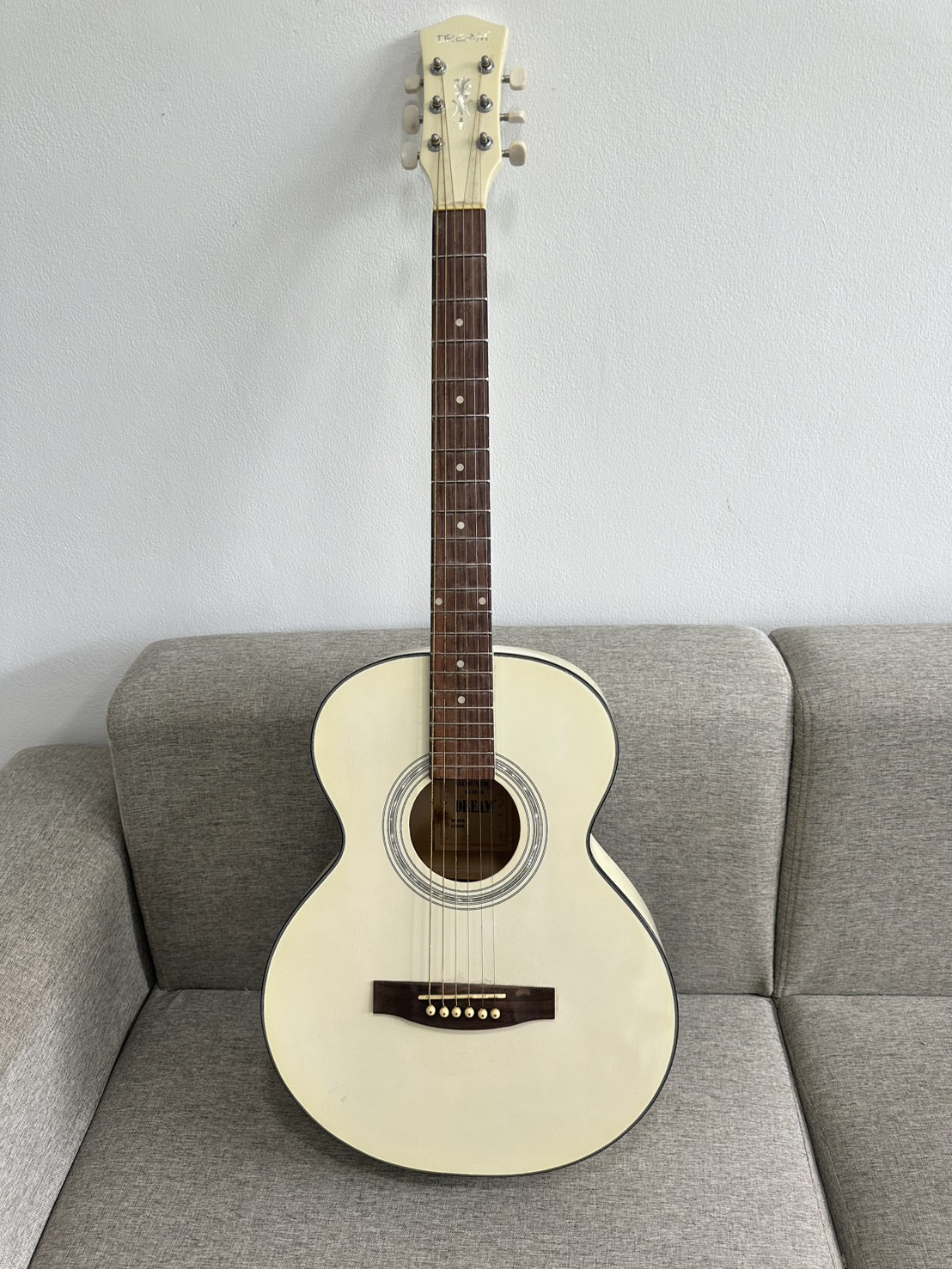 กีตาร์โปร่ง DREAM DW-100