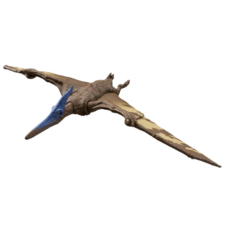 Mattel Jurassic World Roar Strikers Pteranodon (HDX42) แมทเทล จูราสสิค เวิลด์ ของเล่นแอ็กชั่นฟิกเกอร์ไดโนเสาร์ ทิแรโนดอน