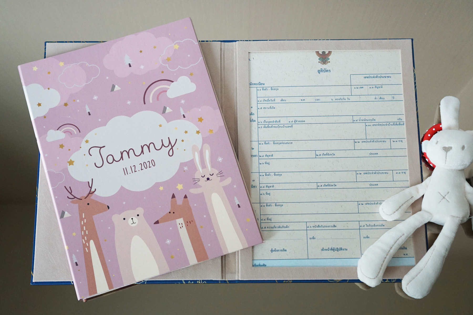 แฟ้มทะเบียนสมรส/สูติบัตร สั่งทำใส่ข้อความ ลาย Woodland - Pink