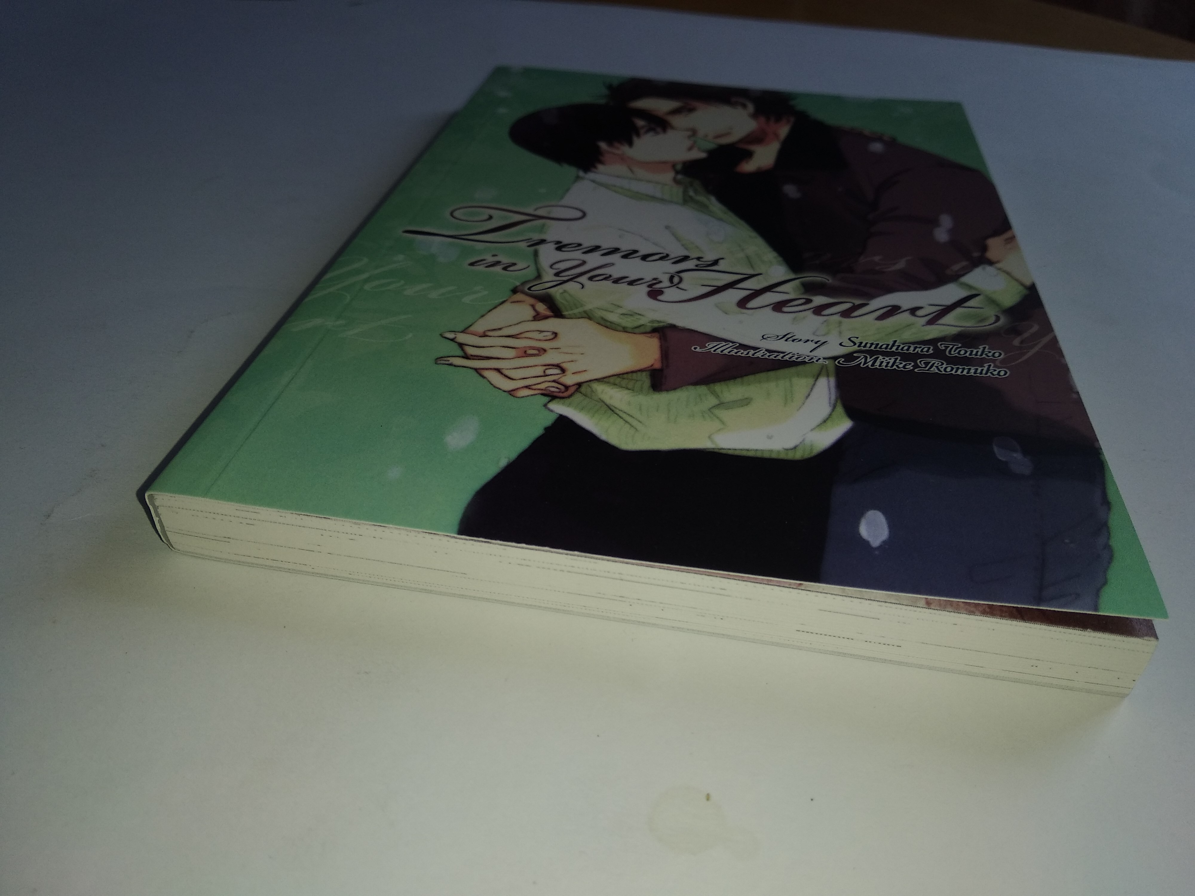 นิยายวายญี่ปุ่น Tremors in your heart : Sunahara Touka