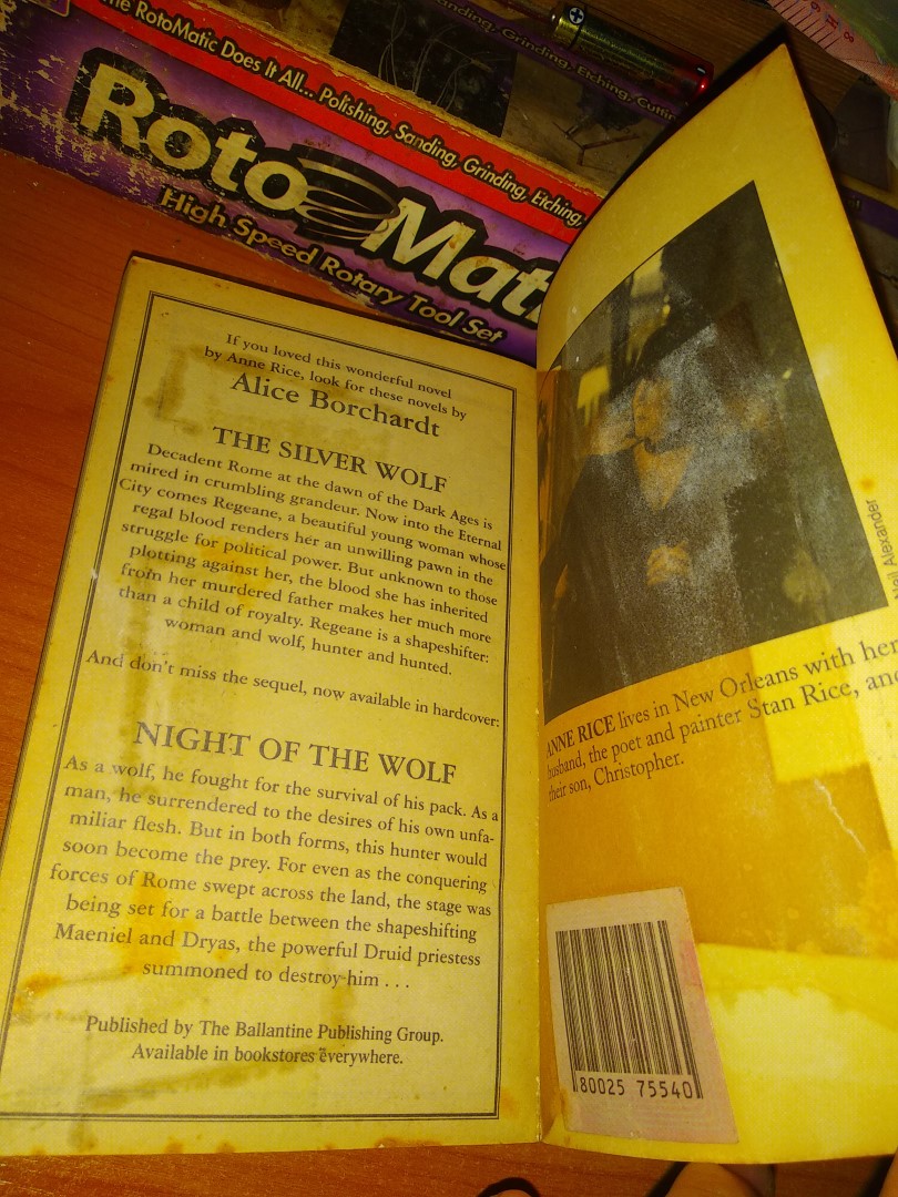 The Vampire Lestat (The Vampire Chronicles #2) by Anne Rice