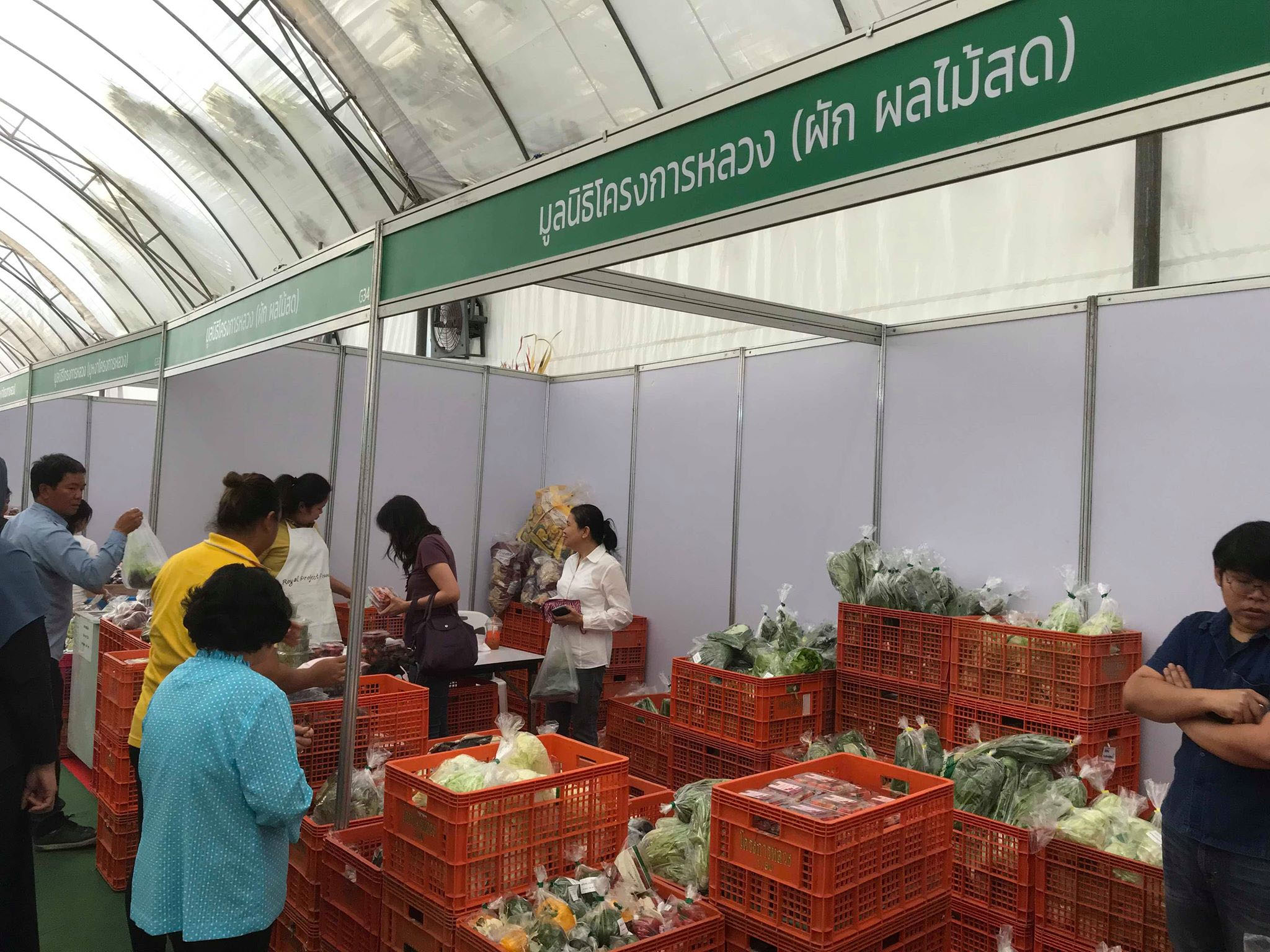งานเกษตรแฟร์ ช็อปปิ้ง ต้นไม้ เสื้อผ้า อาหาร 41