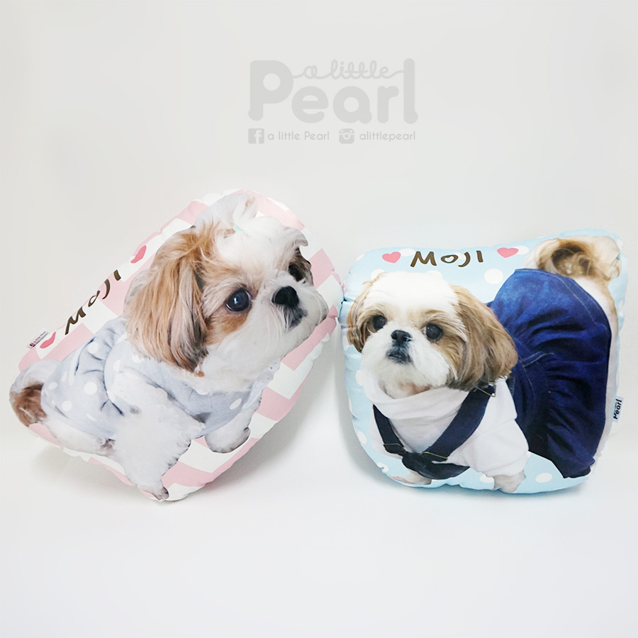 หมอนของขวัญ ใส่รูปถ่าย Animal Photo Pillow