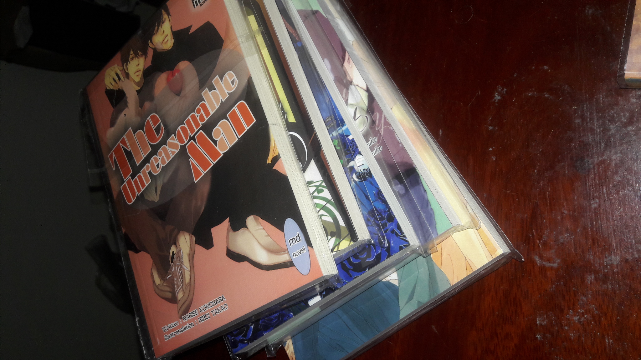 นิยายวายแปล -The Unreasonable Man - Kifu Kaname