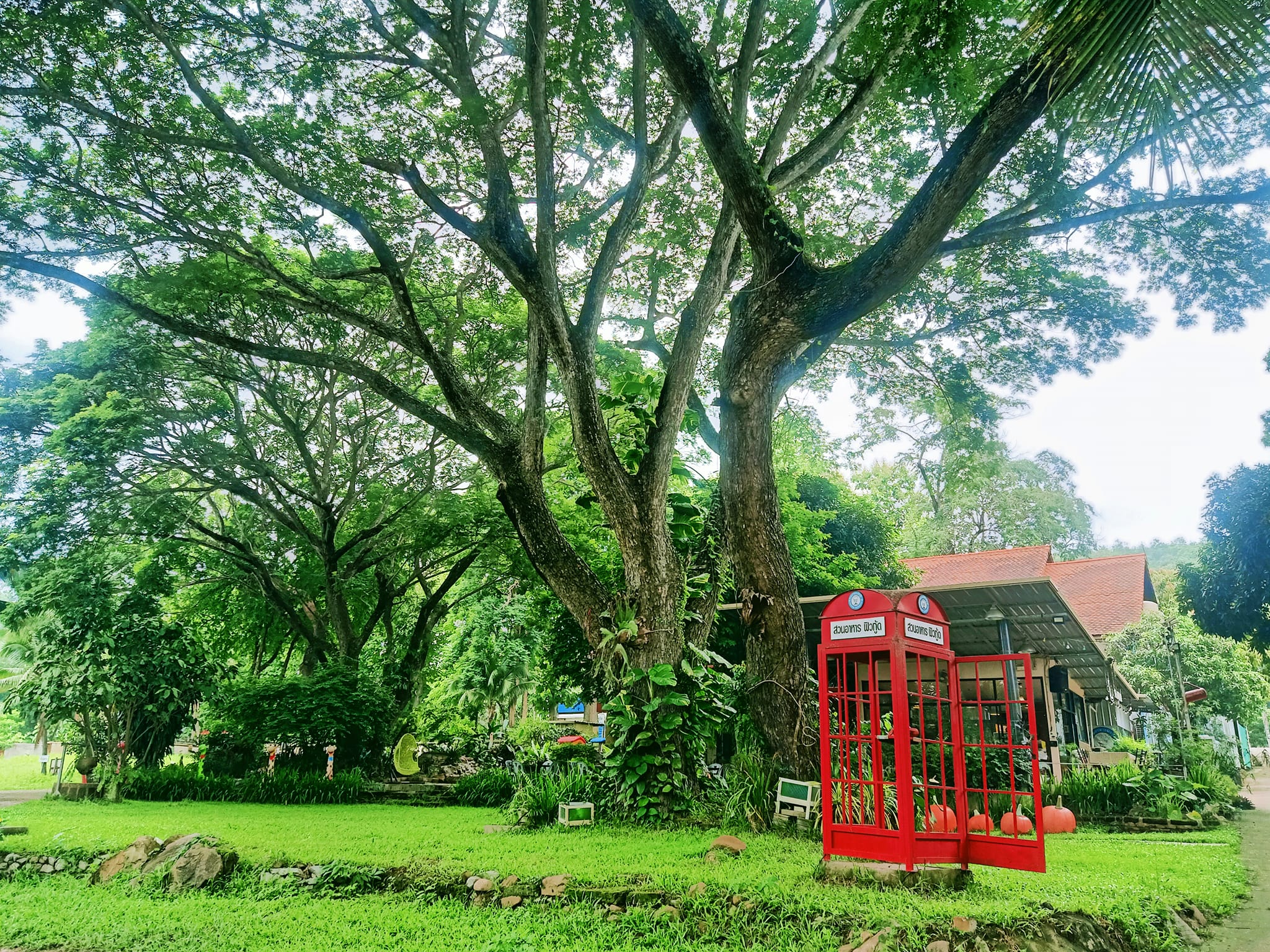 ขายรีสอร์ทพร้อมสวนอาหาร ใน จ.ลำพูน บรรยากาศท่ามกลางธรรมชาติ วิวเขาและทุ่งนา