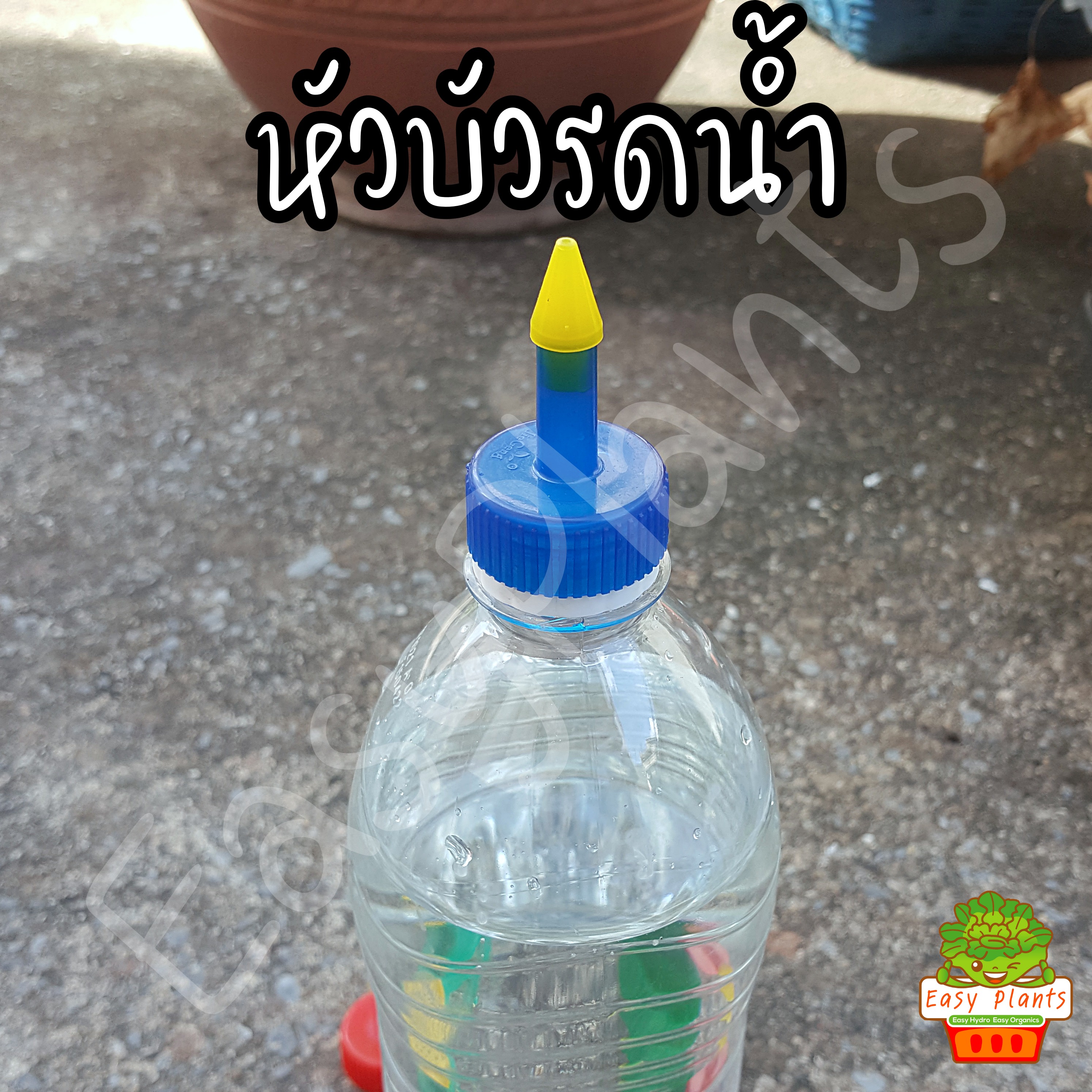 หัวฝักบัวรดน้ำ ต่อกับขวดน้ำอัดลม ใช้รดน้ำต้นอ่อน แคตตัส แบบหัวแหลมและหัวฝักบัว มีหลายสี
