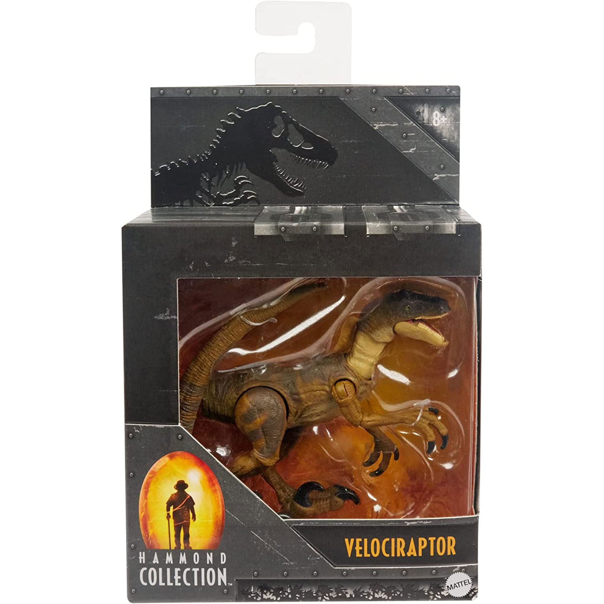 Mattel Jurassic World Hammond Collection Velociraptor (HFG56) แมทเทล จูราสสิค เวิลด์ ของเล่นแอ็กชั่นฟิกเกอร์ไดโนเสาร์ เวโลซีแรปเตอร์
