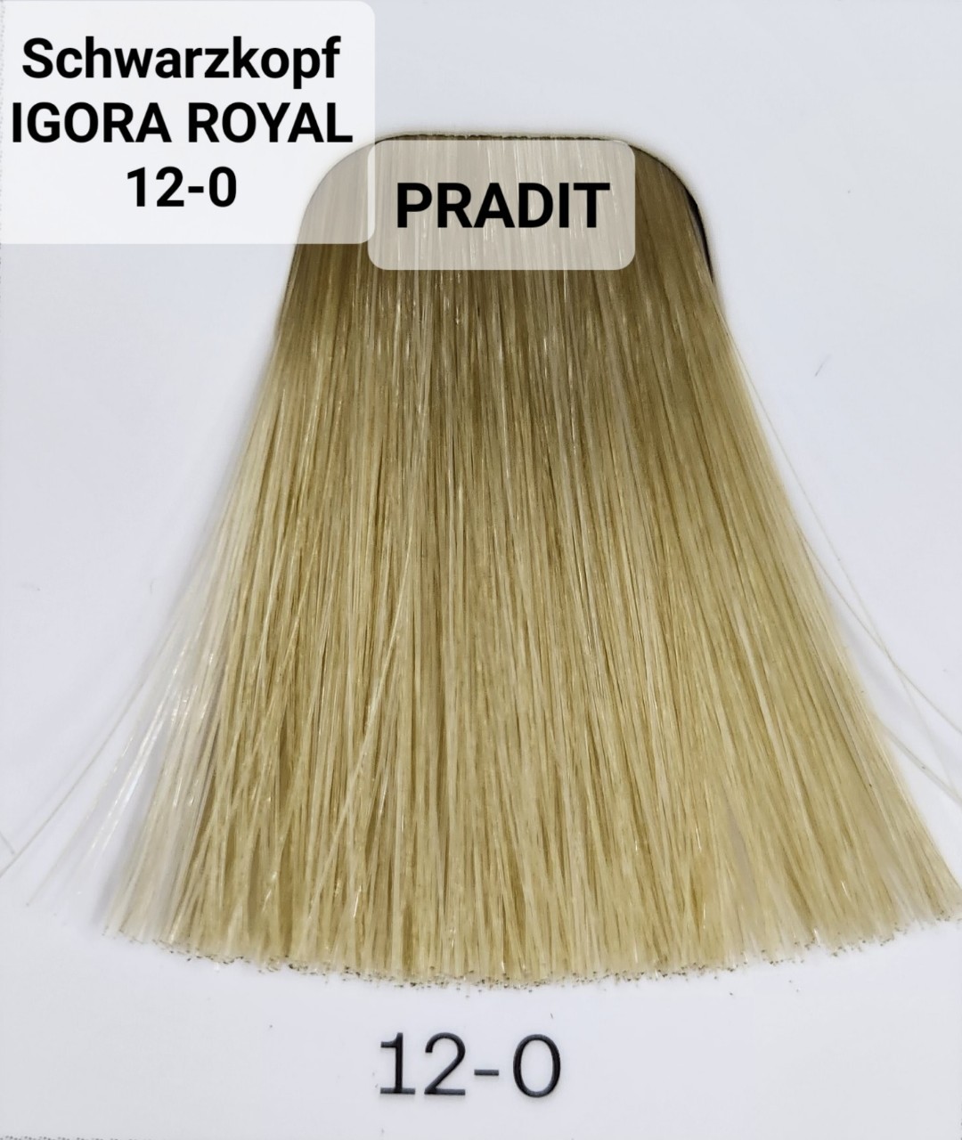 Schwarzkopf Igora Royal ครีมย้อมผม อีโกร่า รอยัล เบอร์ 12-0 (60ml) 80 กรัม