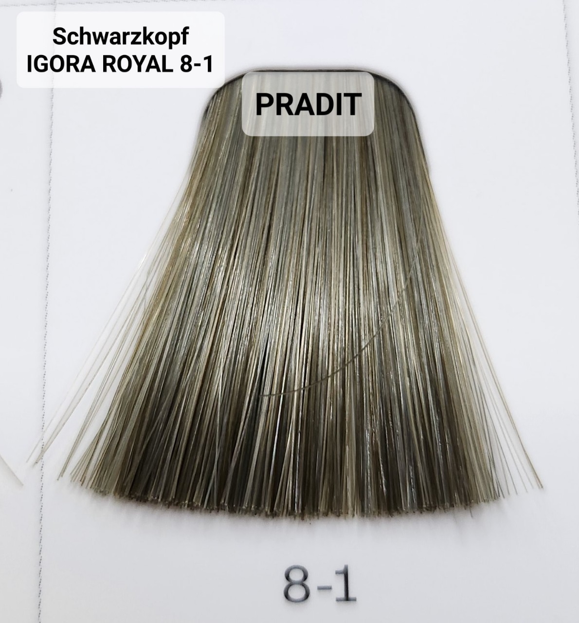 Schwarzkopf Igora Royal ครีมย้อมผม อีโกร่า รอยัล เบอร์8-1 สีบลอนด์อ่อนออกหม่น (60ml) 80 กรัม