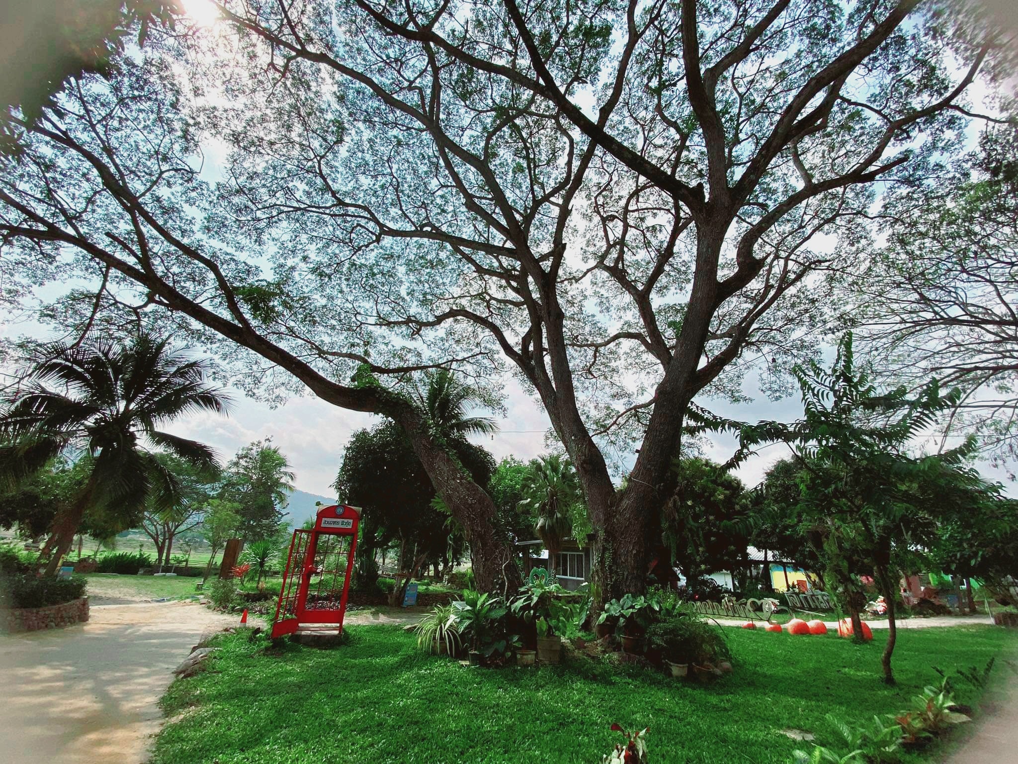 ขายรีสอร์ทพร้อมสวนอาหาร ใน จ.ลำพูน บรรยากาศท่ามกลางธรรมชาติ วิวเขาและทุ่งนา