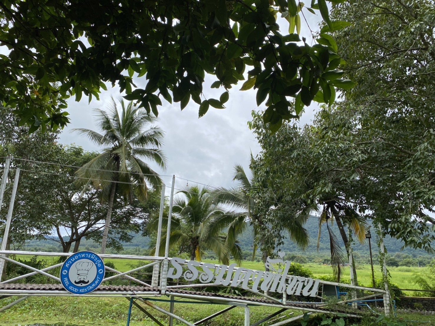 ขายรีสอร์ทพร้อมสวนอาหาร ใน จ.ลำพูน บรรยากาศท่ามกลางธรรมชาติ วิวเขาและทุ่งนา