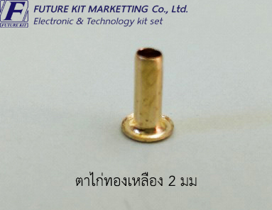 FuturePack FP7015 ตาไก่ทองเหลือง 2mm.