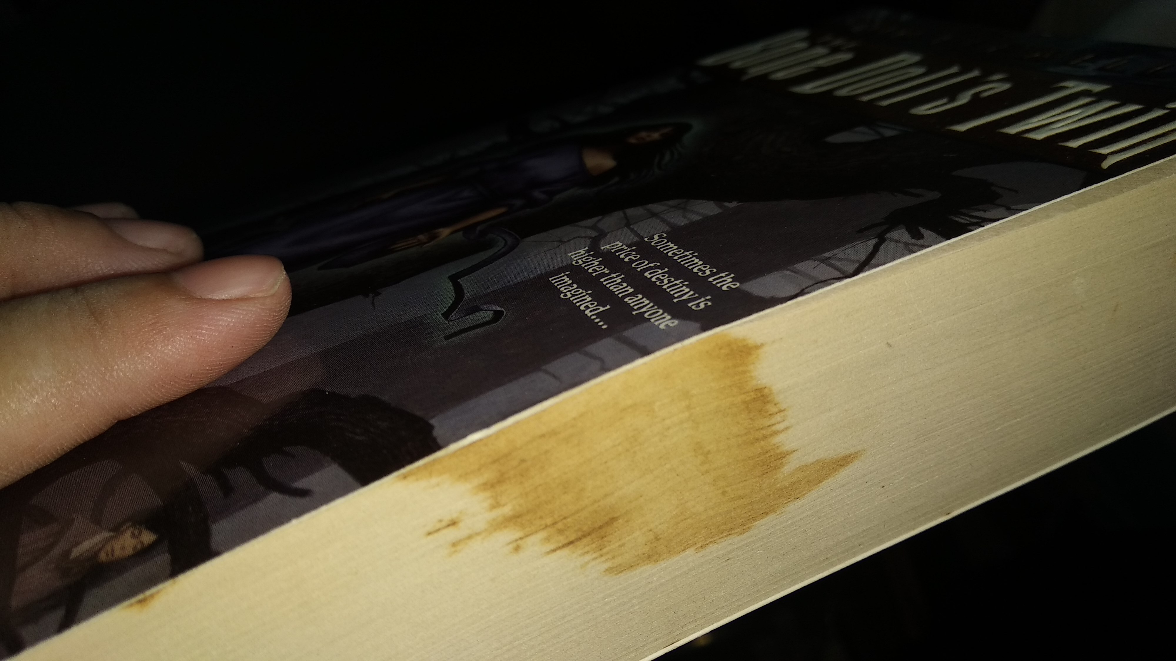 The Bone Doll's Twin, Hidden Warrior, The Oracle's Queen (Tamír Triad v1-3) by Lynn Flewelling