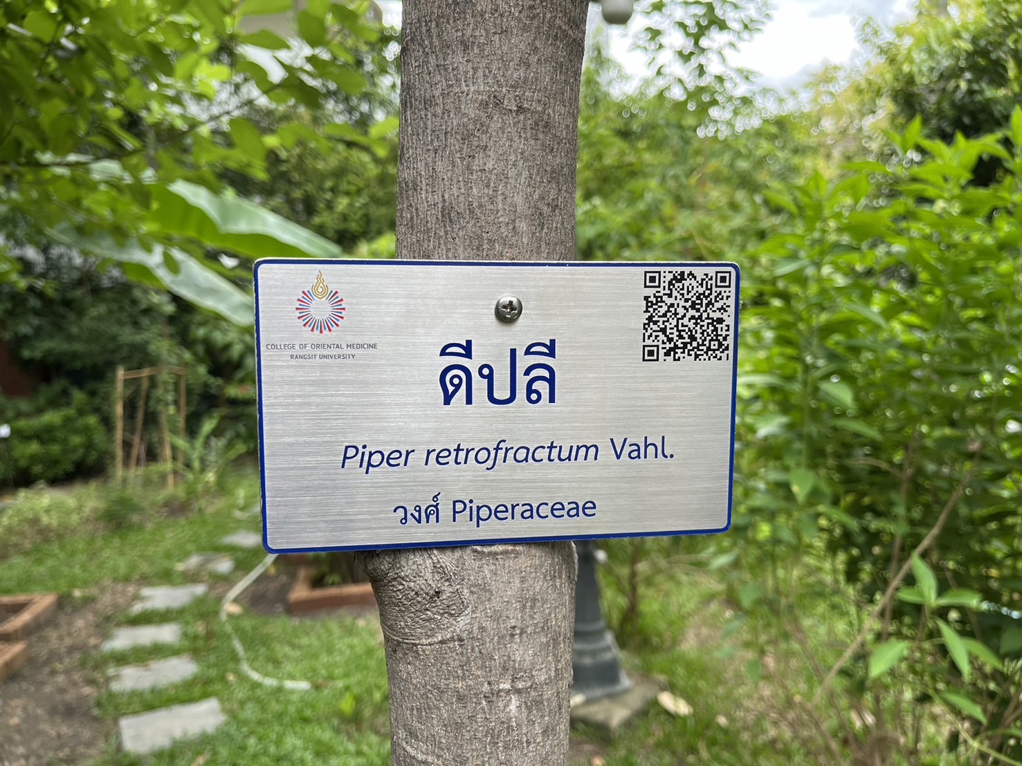 ป้ายชื่อต้นไม้ ป้ายปักต้นไม้