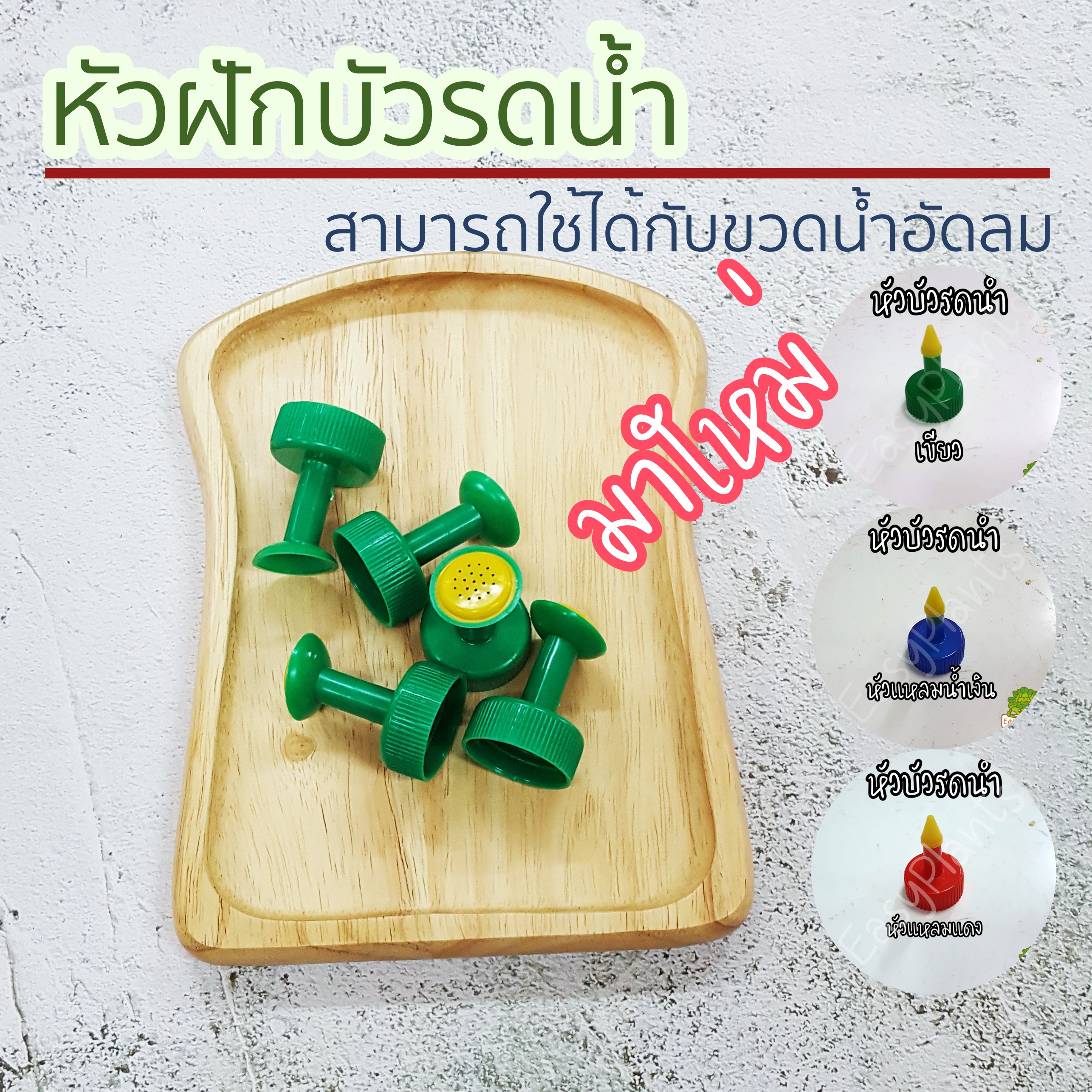 หัวฝักบัวรดน้ำ ต่อกับขวดน้ำอัดลม ใช้รดน้ำต้นอ่อน แคตตัส แบบหัวแหลมและหัวฝักบัว มีหลายสี