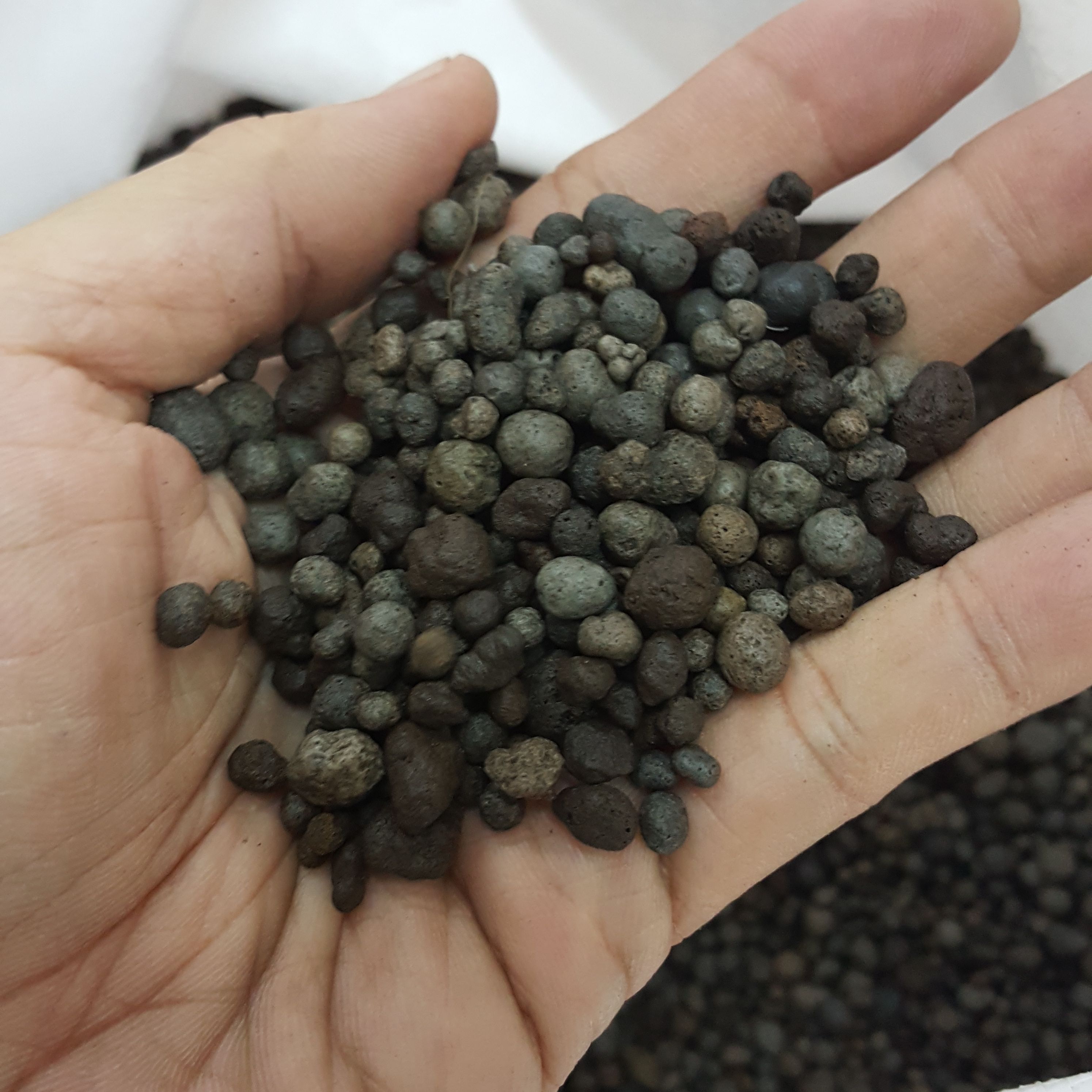 ถุงละ 1 ลิตร เม็ดปอปเปอร์สีอิฐ และ สีดำ ดินเผาโรยหน้า Clay Popper