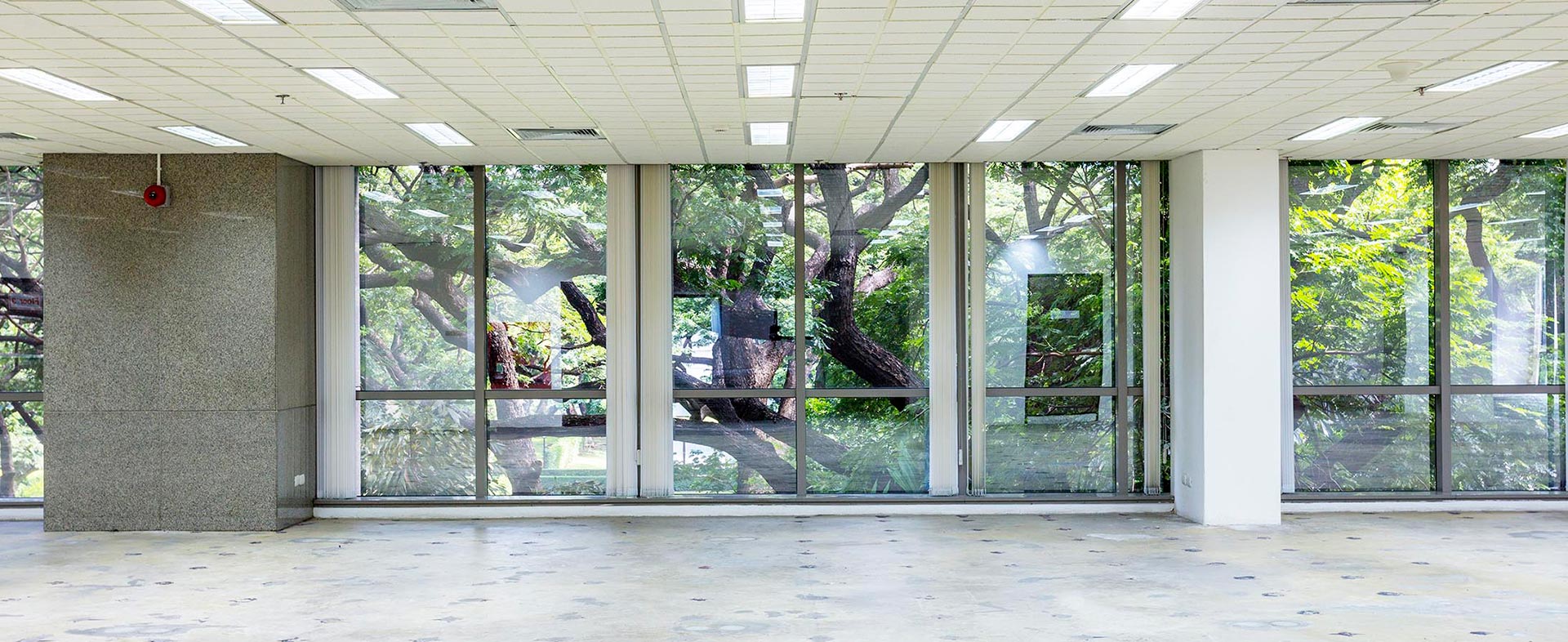 ให้เช่าอาคารสำนักงานติดถนนวิทยุ ใกล้สวนลุมพีนี และใกล้รถไฟฟ้า BTS เพลินจิต 600 เมตร 208 WIRELESS ROAD BUILDING | BANGKOK