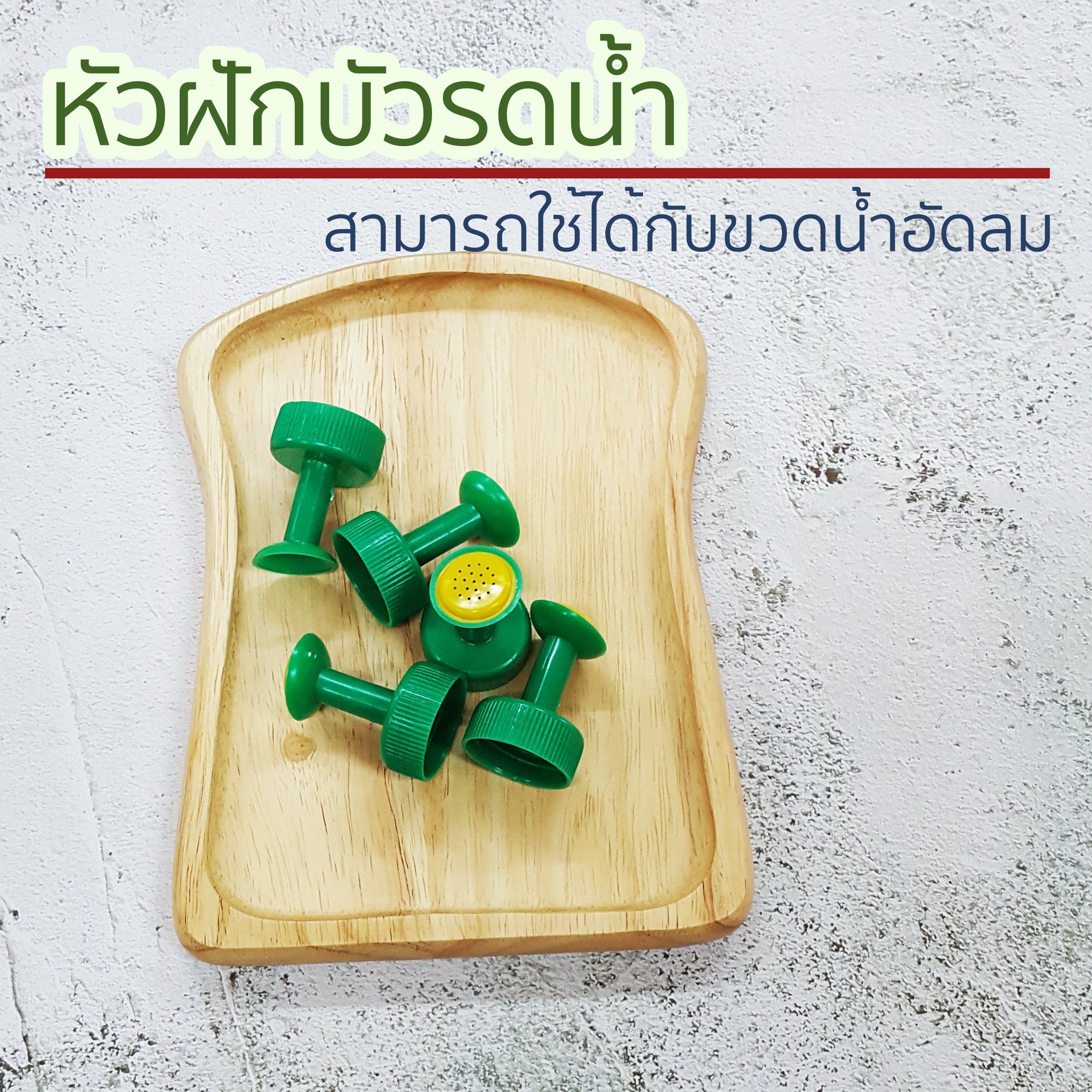 หัวฝักบัวรดน้ำ ต่อกับขวดน้ำอัดลม ใช้รดน้ำต้นอ่อน แคตตัส แบบหัวแหลมและหัวฝักบัว มีหลายสี