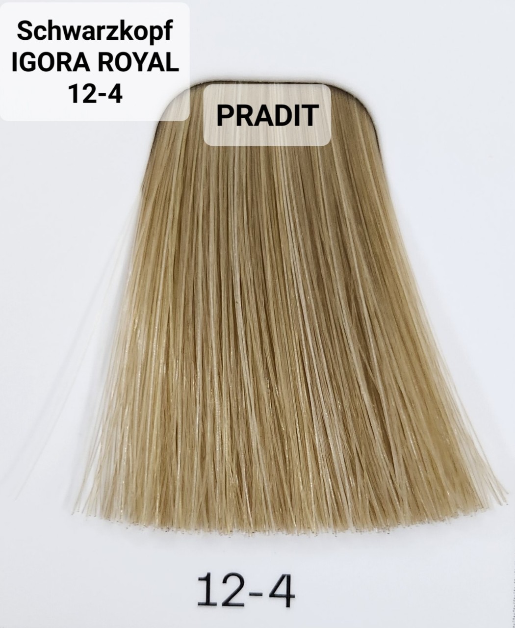 Schwarzkopf Igora Royal ครีมย้อมผม อีโกร่า รอยัล เบอร์ 12-4 (60ml) 80 กรัม