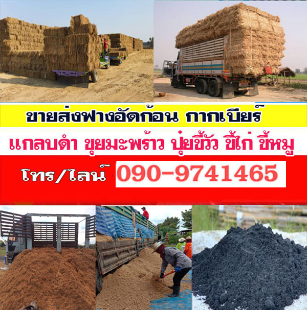 ฟางอัดก้อน กากเบียร์ ขุยมะพร้าว แกลบดำ จัดส่งถึงที่!