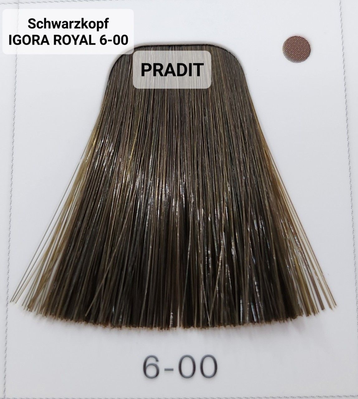Schwarzkopf Igora Royal ครีมย้อมผม อีโกร่า รอยัล เบอร์6-00 สีบลอนด์เข้มธรรมชาติ (60ml) 80 กรัม