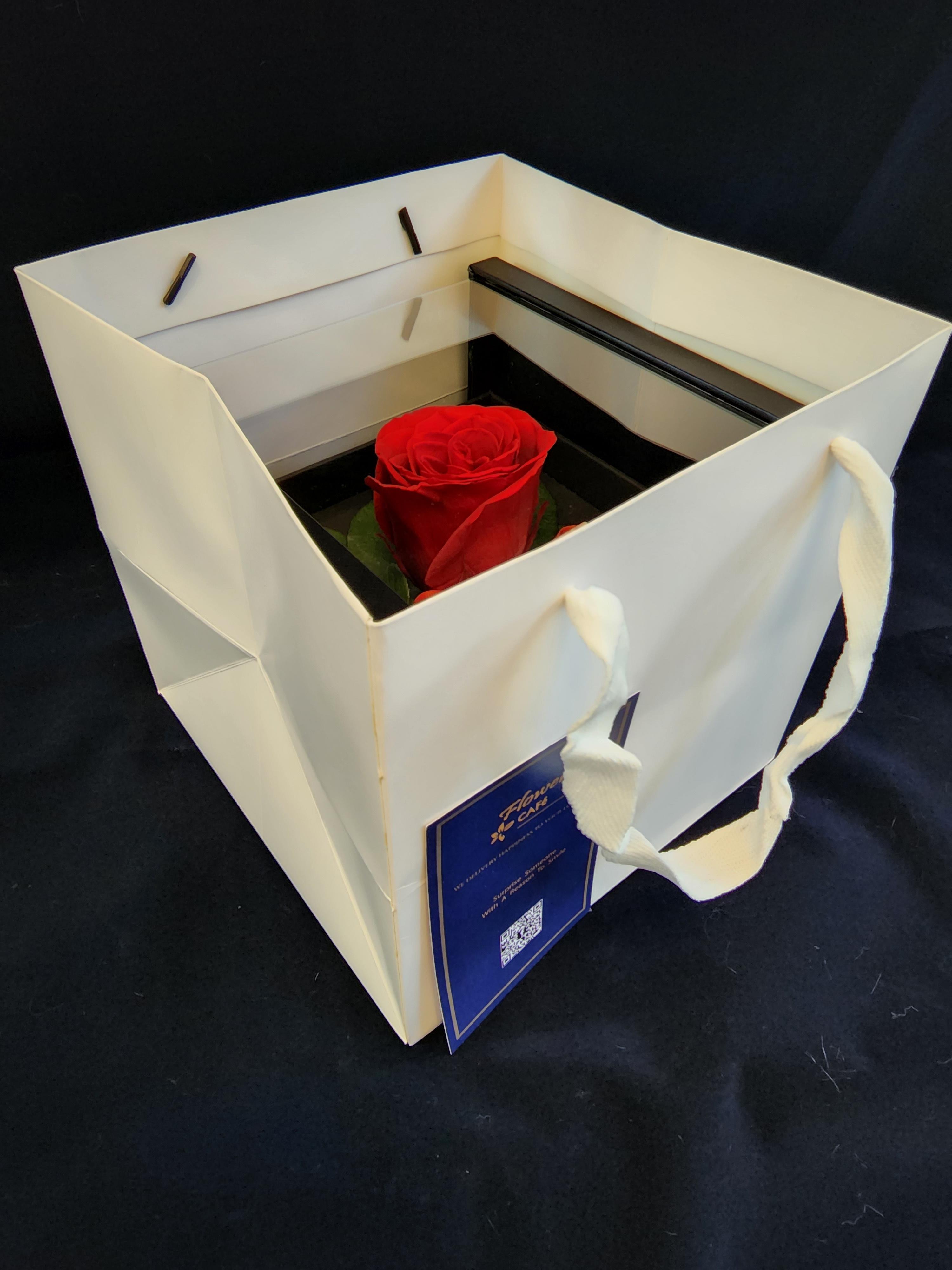 Preserved 1 กุหลาบอมตะ