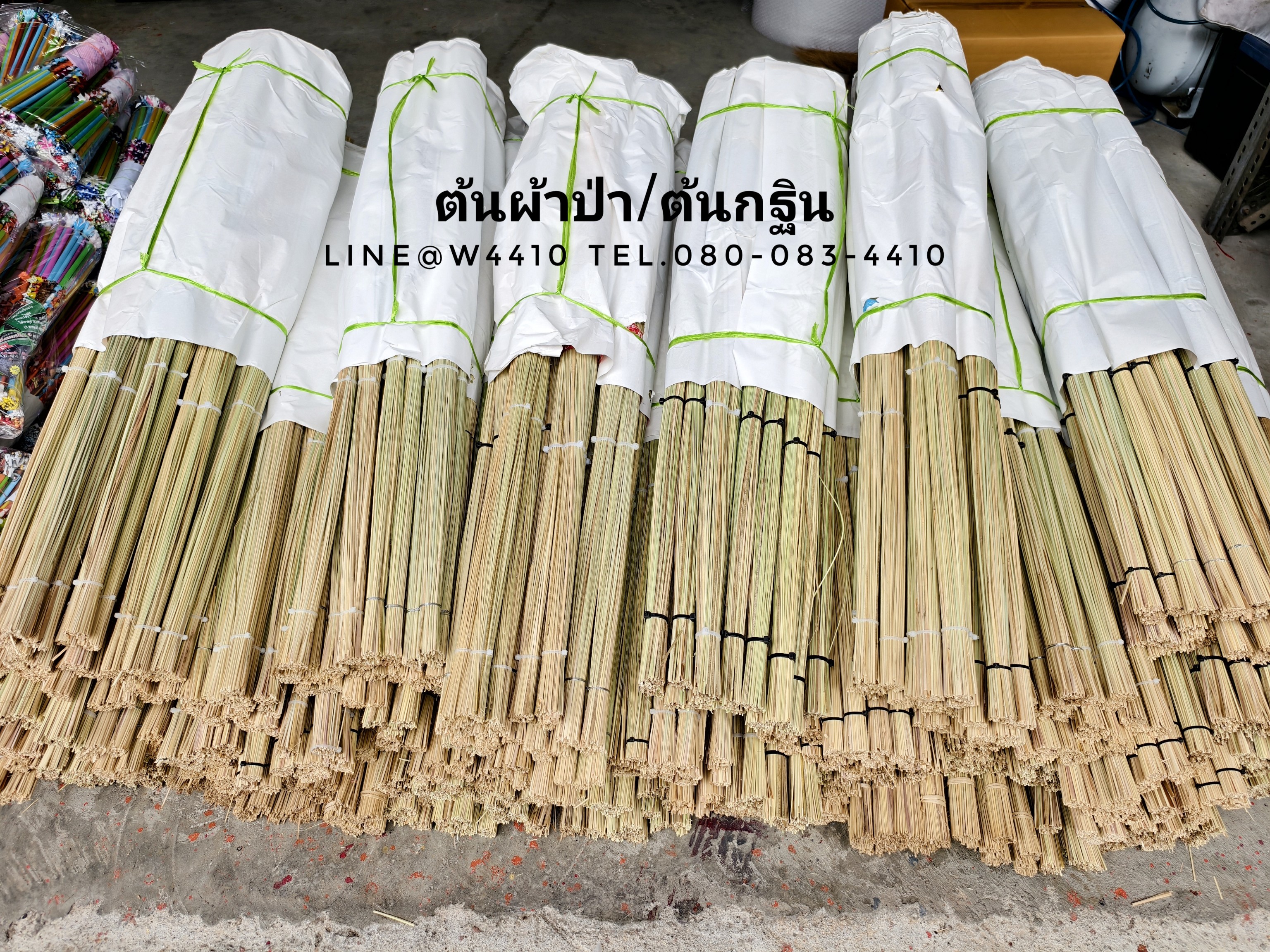 ต้นผ้าป่า