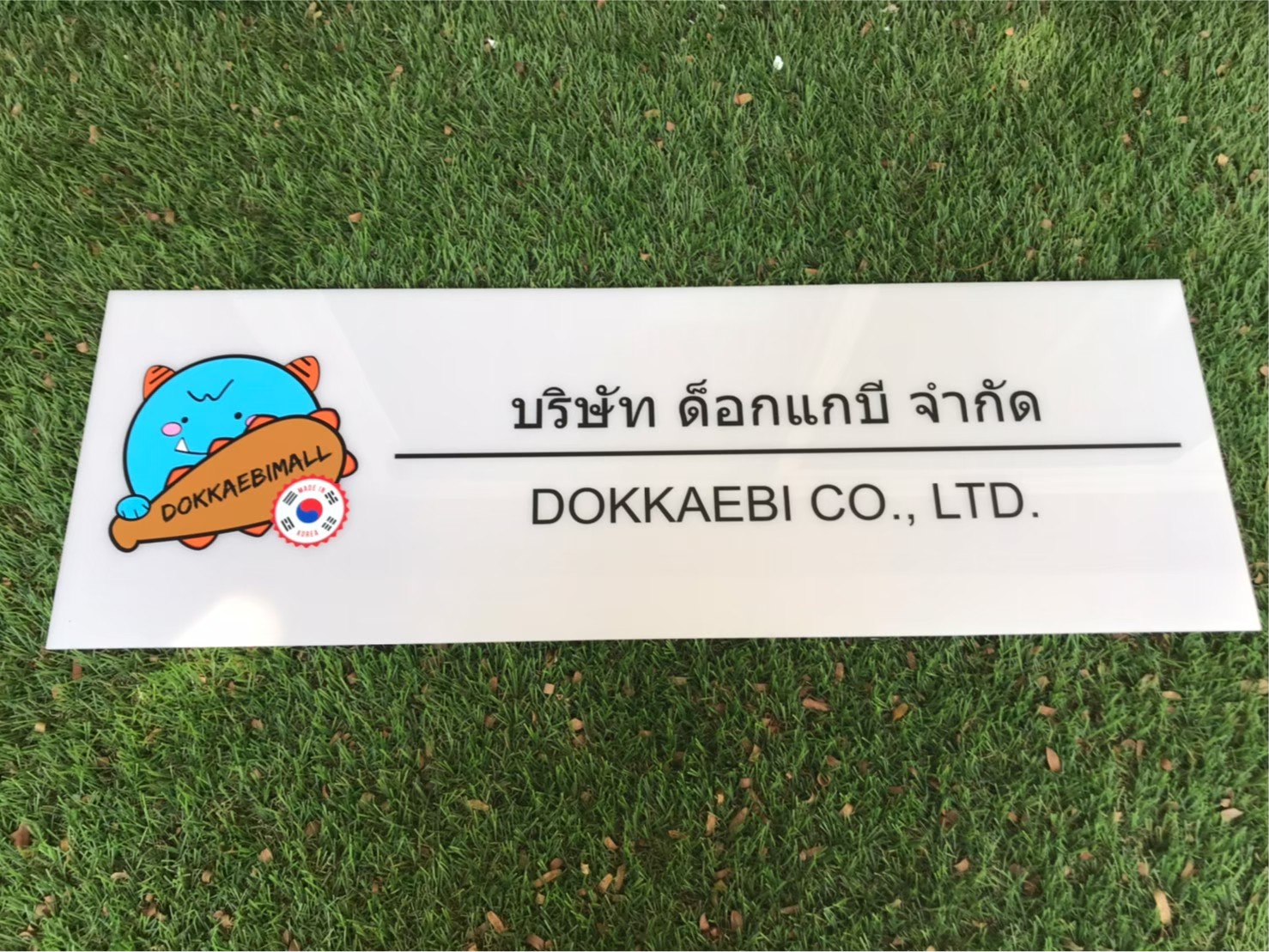 ป้ายสกีน