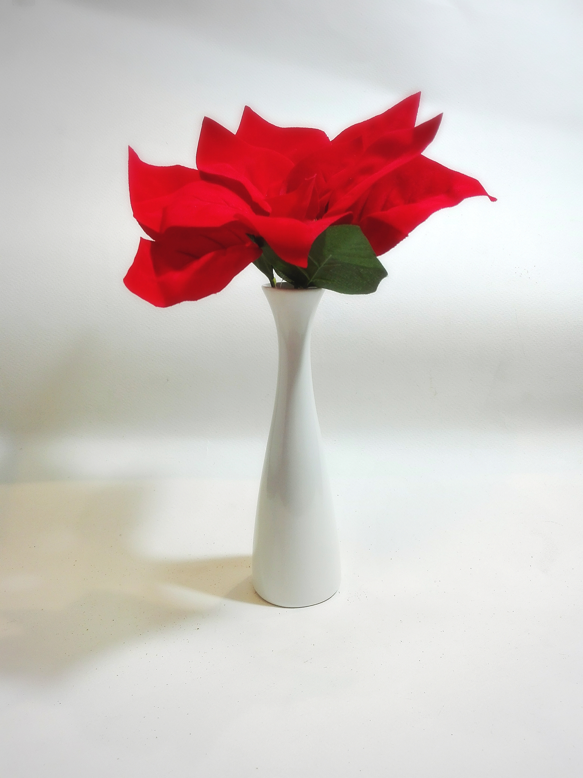 Poinsettia พลาสติก + แจกกันเซรามิค (1 ชุด) สีแดงสด