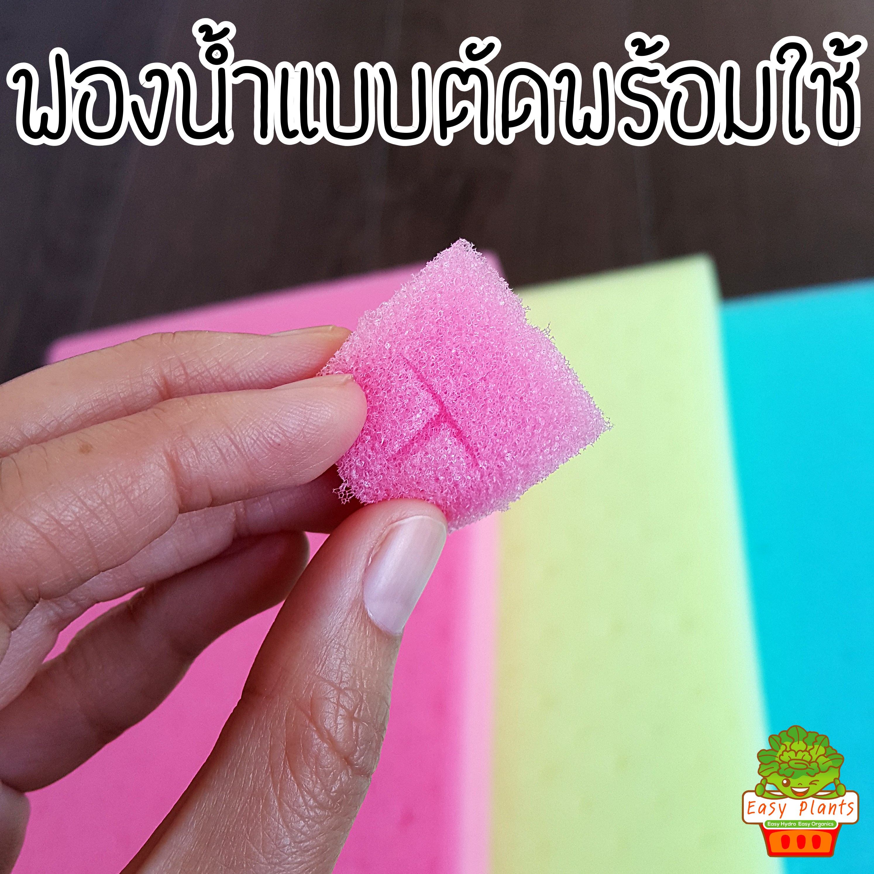 ฟองน้ำปลูกผัก ไฮโดรโปนิกส์ แบบตัดแล้ว จำนวน 5 แผ่น เลือกสีได้ ฟ้า ชมพู เขียว เหลือง