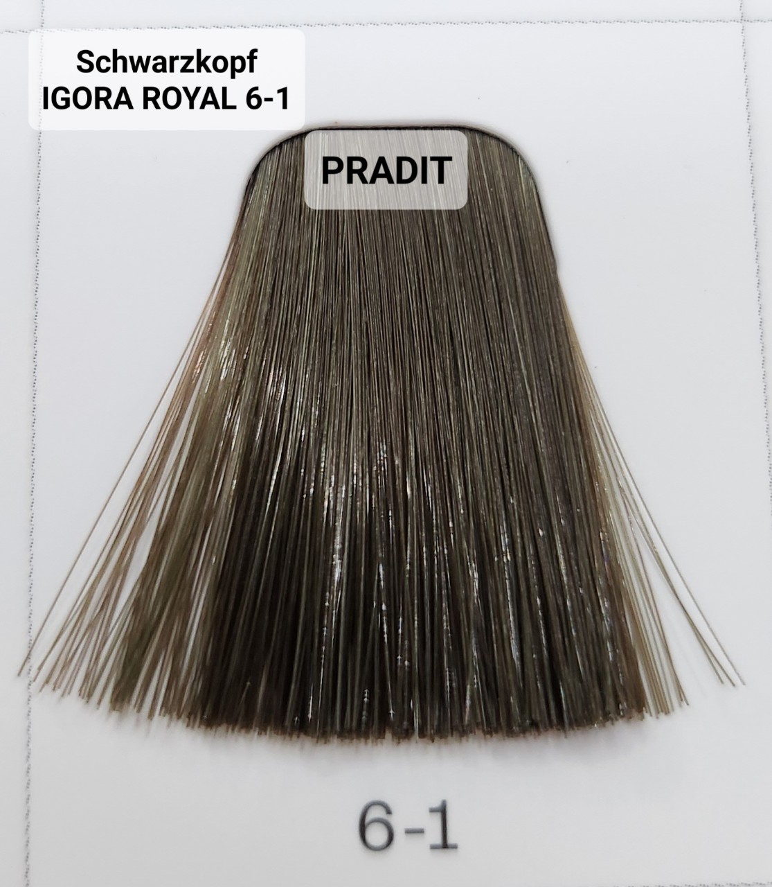 Schwarzkopf Igora Royal ครีมย้อมผม อีโกร่า รอยัล เบอร์ 6-1 (60ml) 80 กรัม