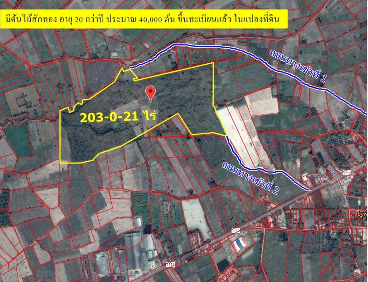 ขายสวนไม้สักทอง 40,000 กว่าต้น บนที่ดินขนาด 203-0-21 ไร่ จ.กำแพงเพชร