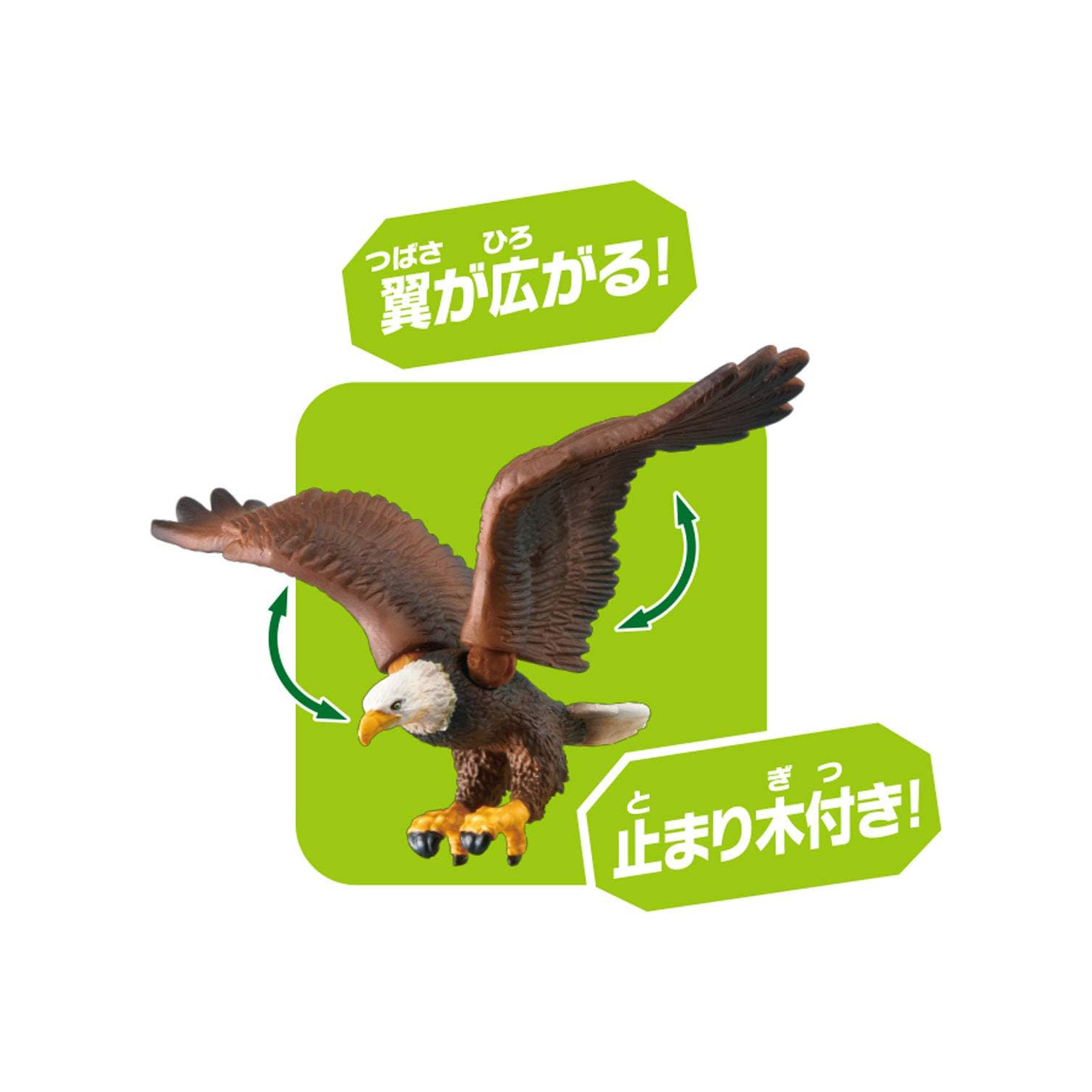 Takara Tomy - Ania AS-05 โมเดลนกอินทรี Eagle (Bald Eagle)