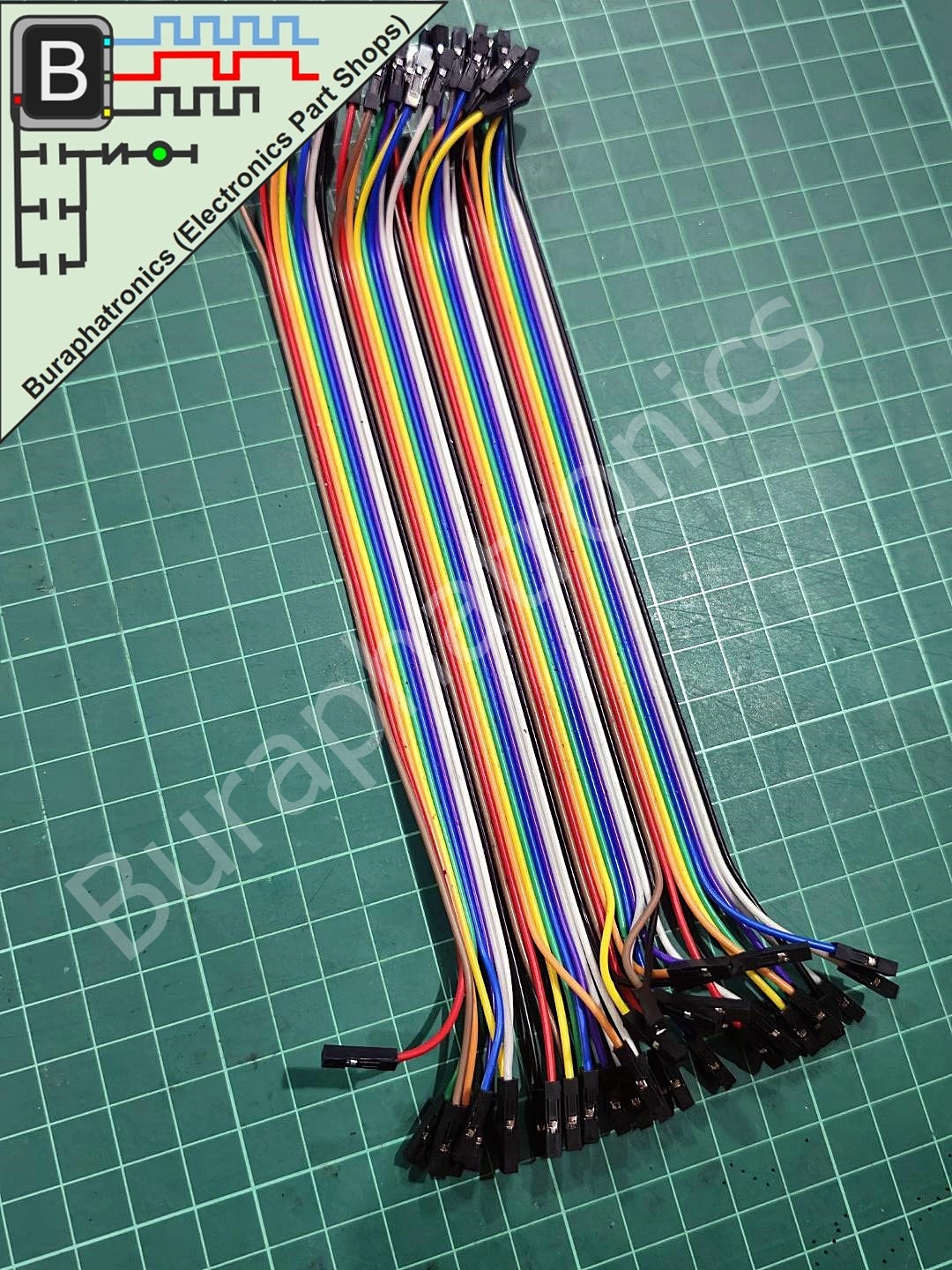 40Pin Female - Female 20 cm ( สายไฟ 40 เส้น ยาว 20 เซนติเมตร )