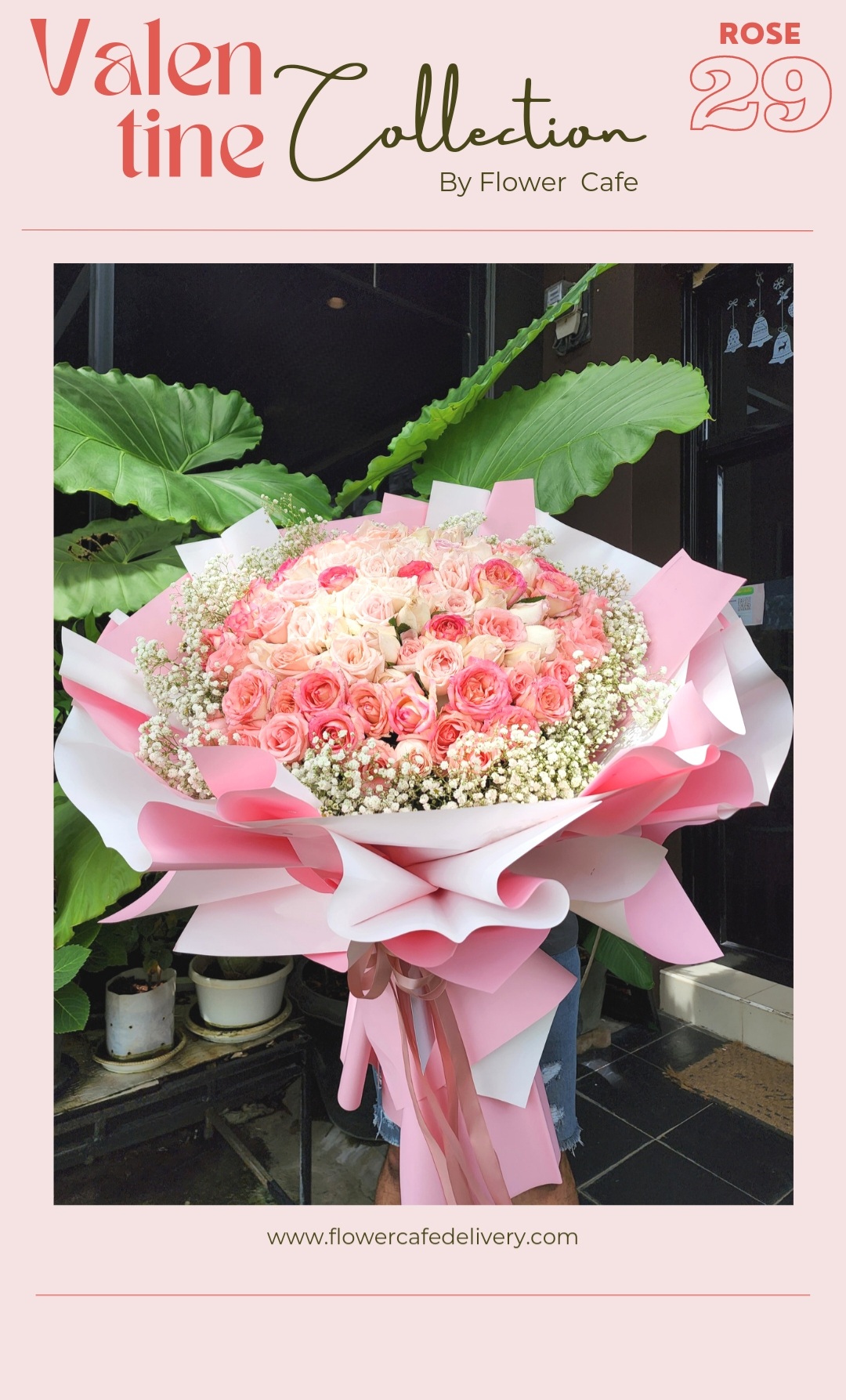 Rose 29