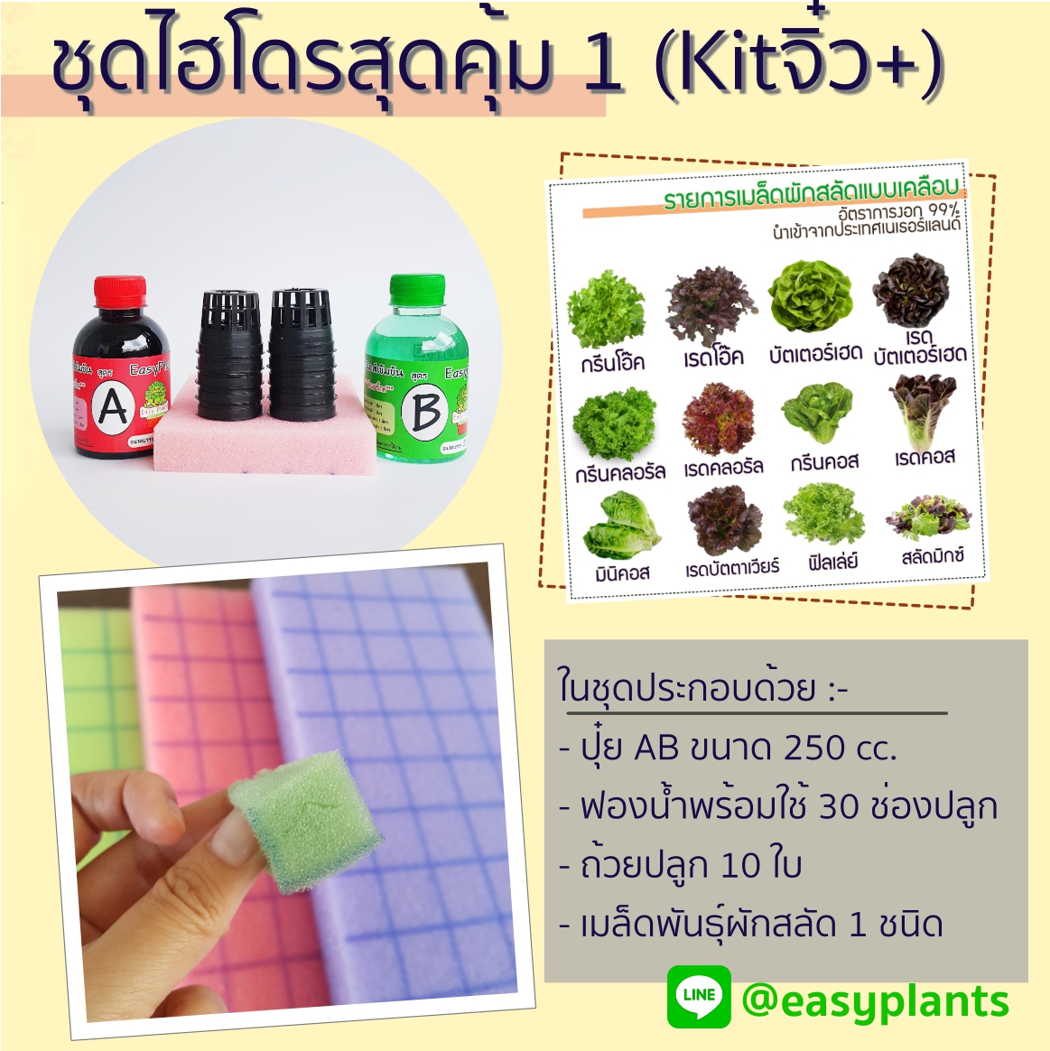 ชุดไฮโดรสุดคุ้ม 1 (Kit จิ๋ว Plus)